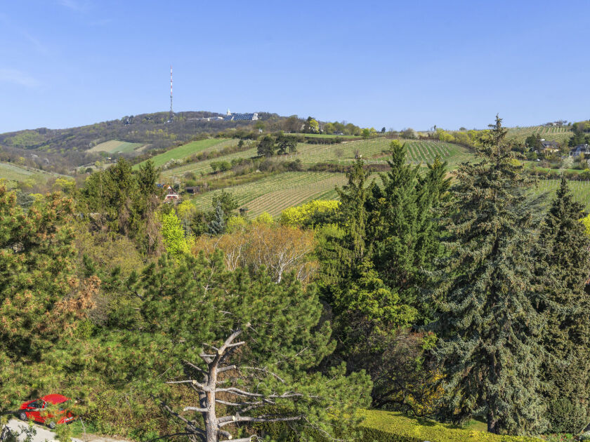 Unterer Schreiberweg 49 | Penthouse