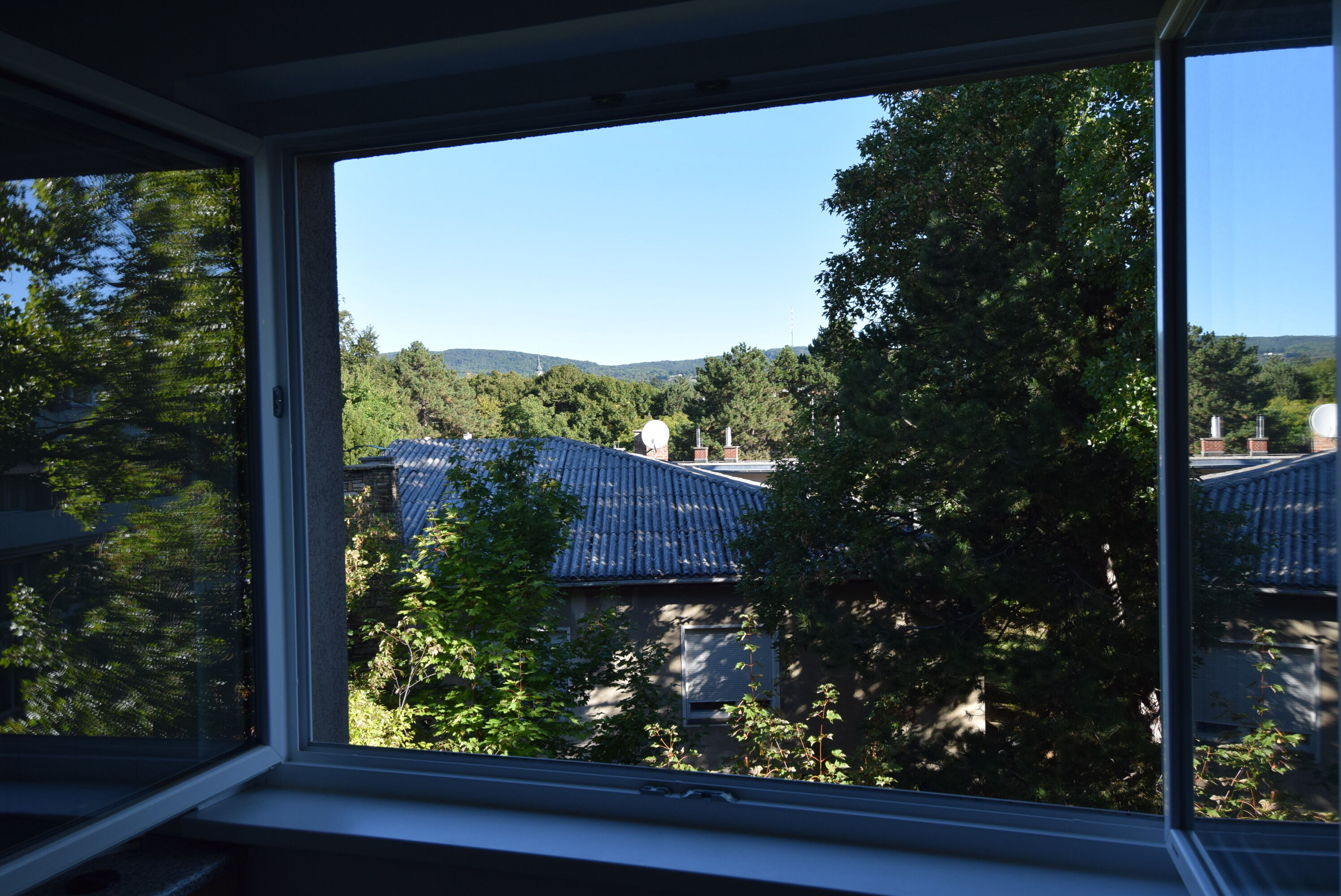 Ausblick Küche