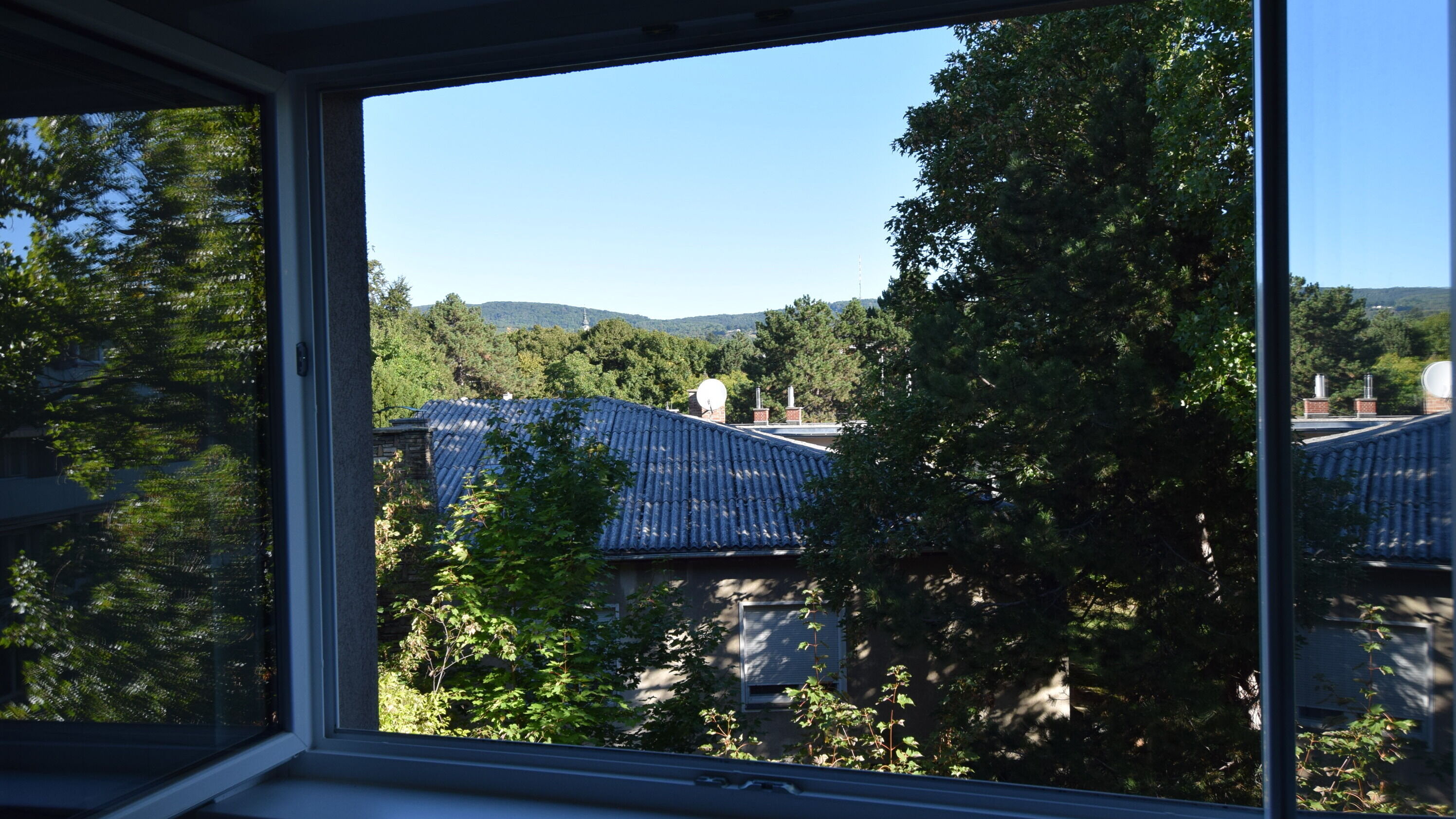 Ausblick Küche