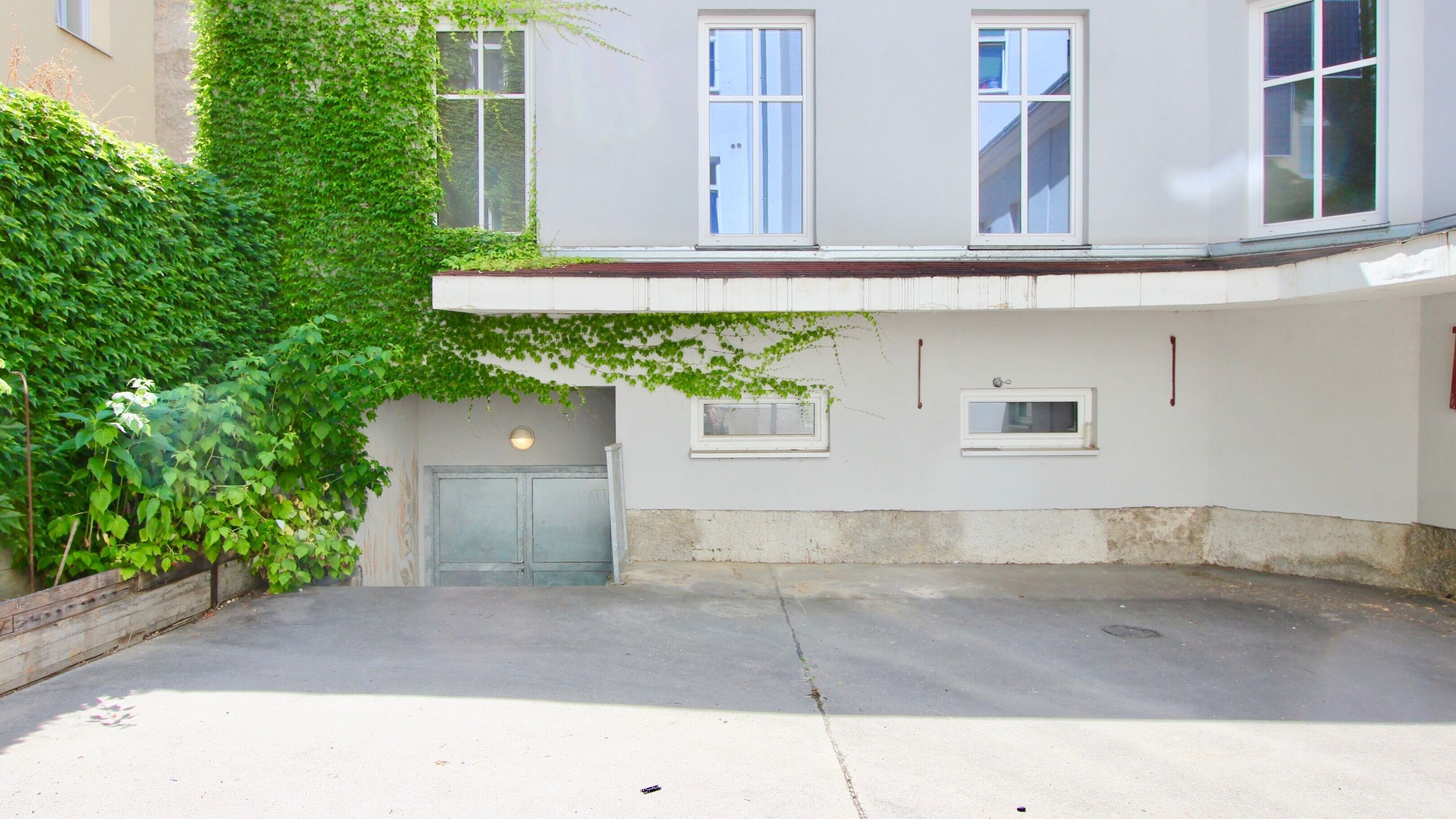 IMG 0362