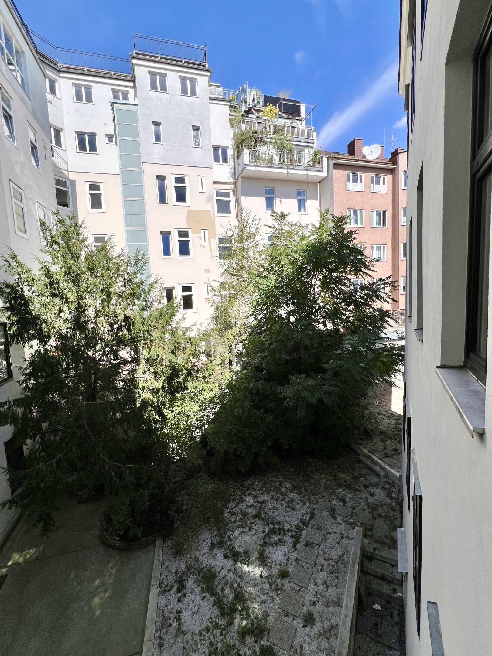 IMG 0636