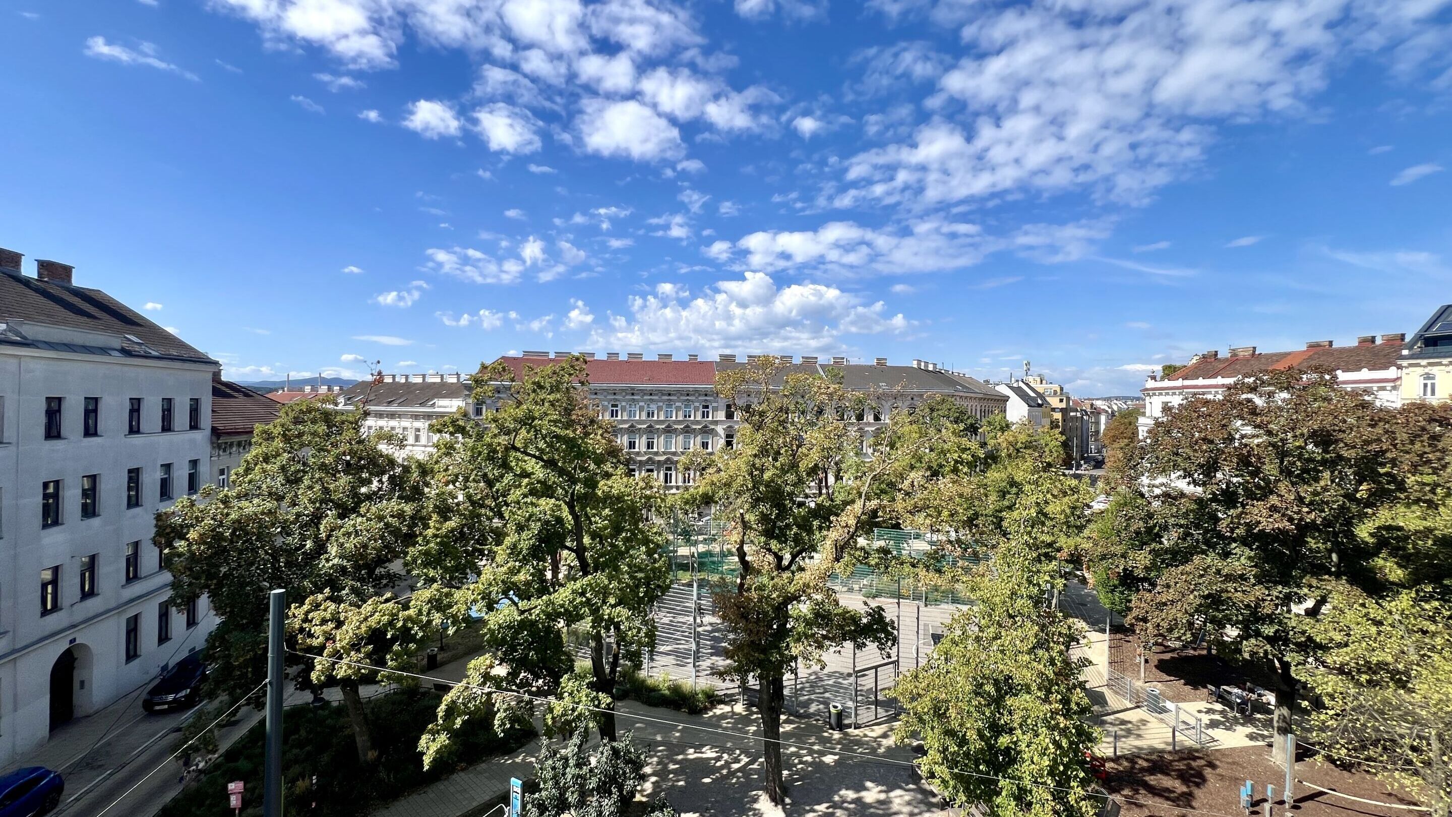 IMG 0492