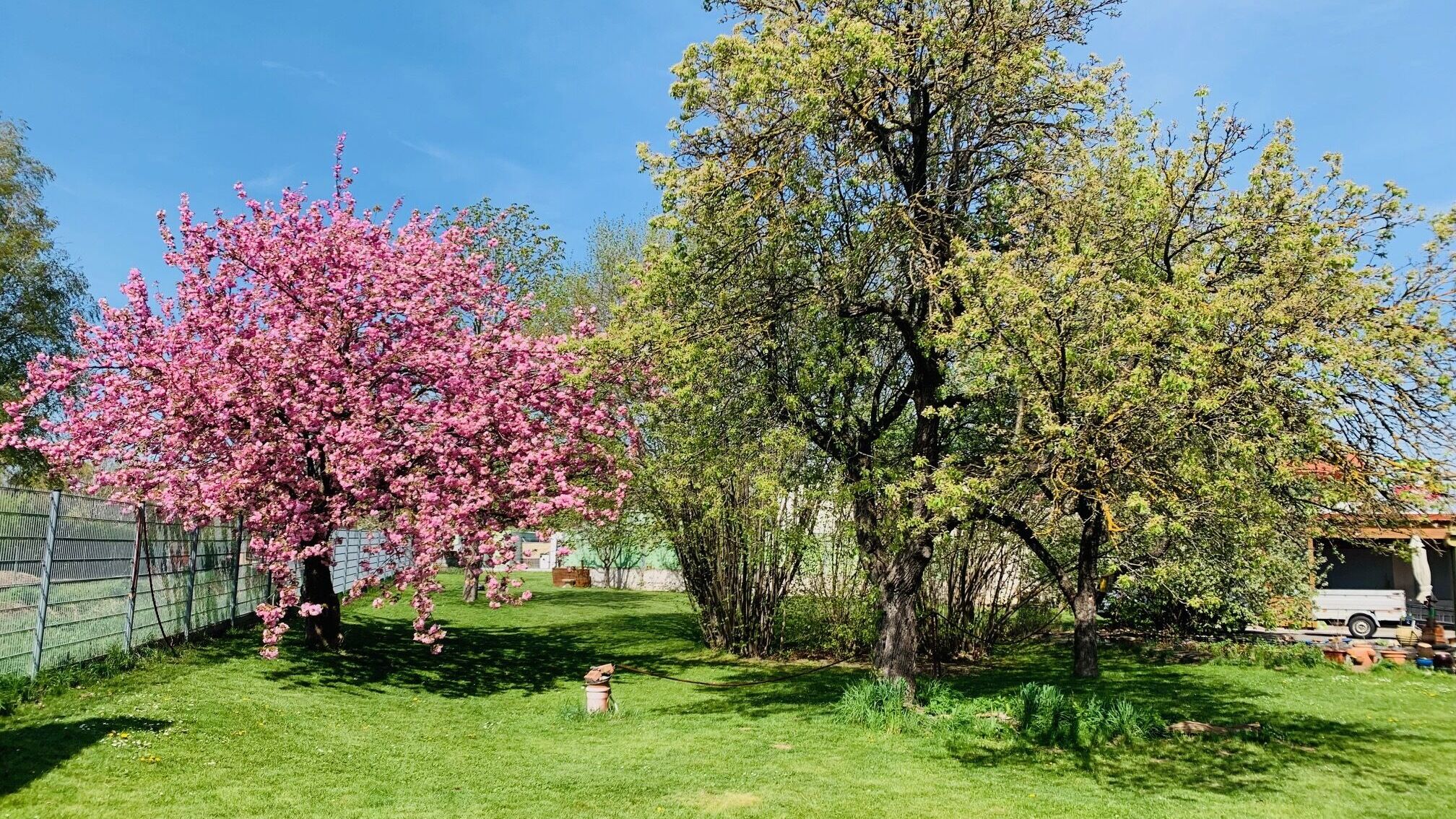 Garten