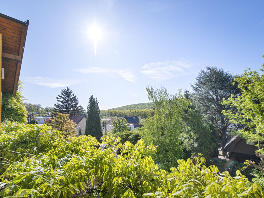 Fernblick Balkon