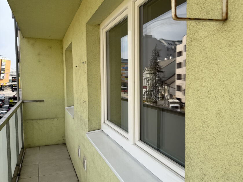 IMG 0235