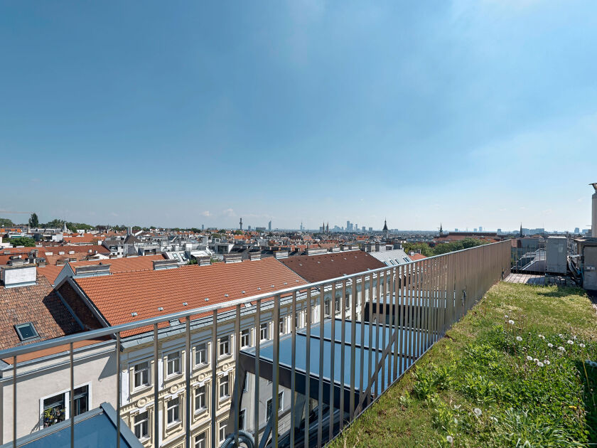 DSC8301-9019