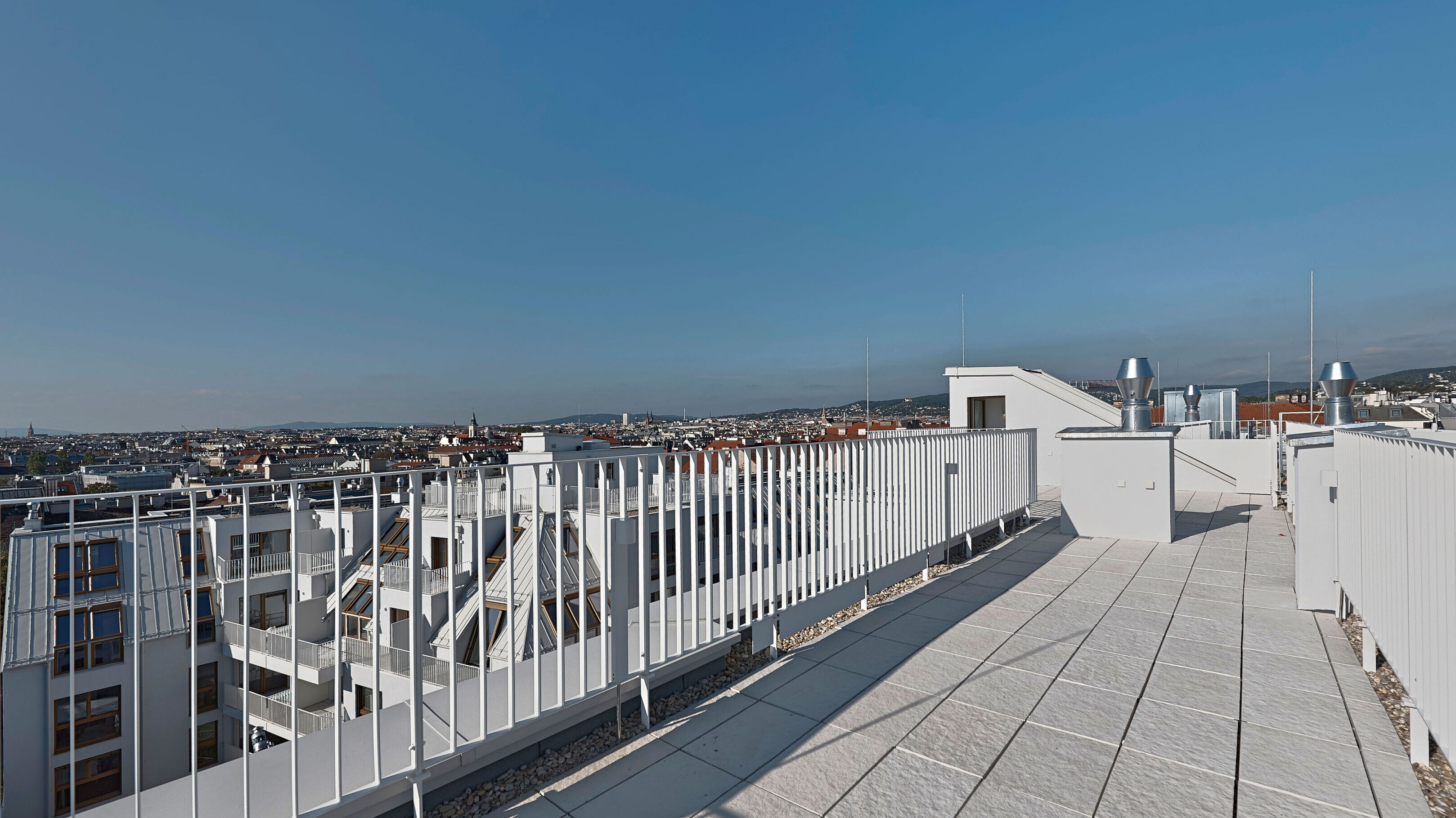 DSC3981-9626