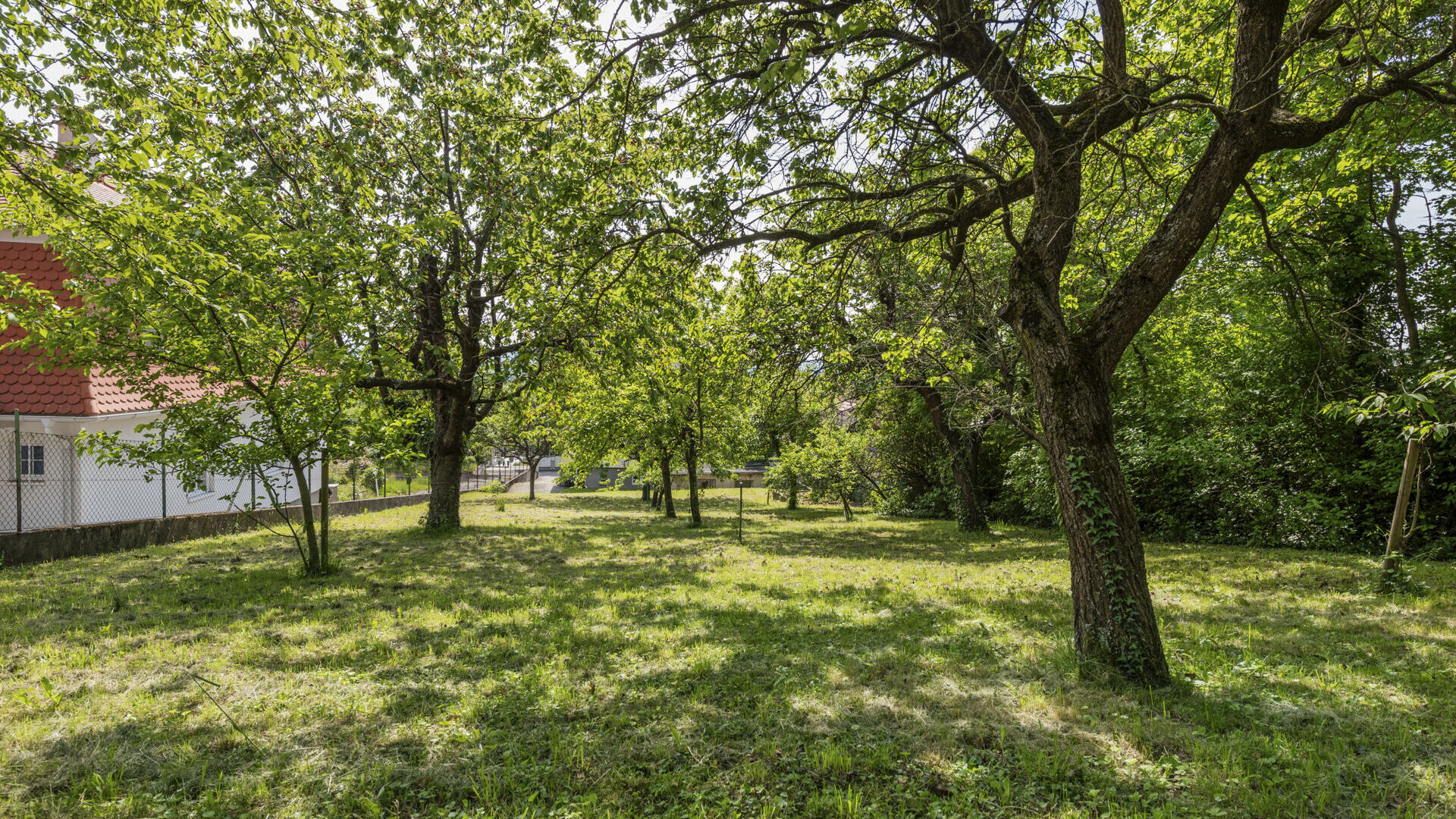 Obstgarten