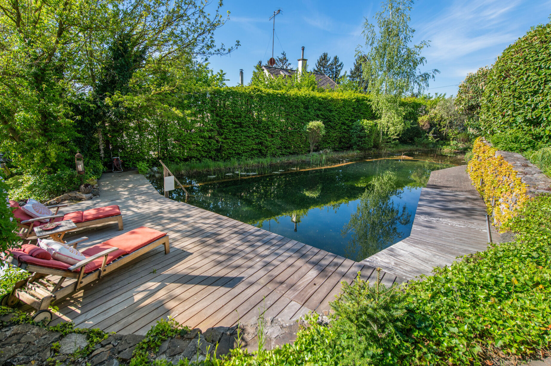 Natur-Pool | Sonnendeck