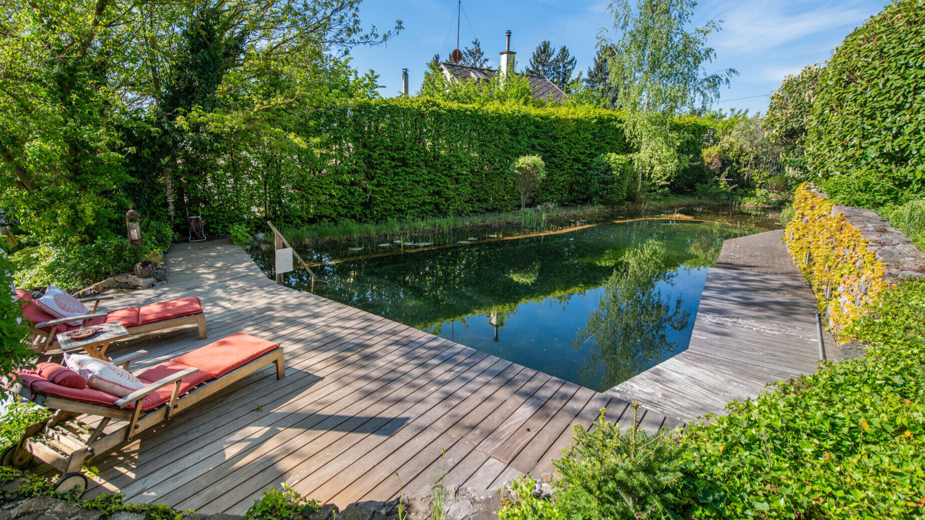Natur-Pool | Sonnendeck
