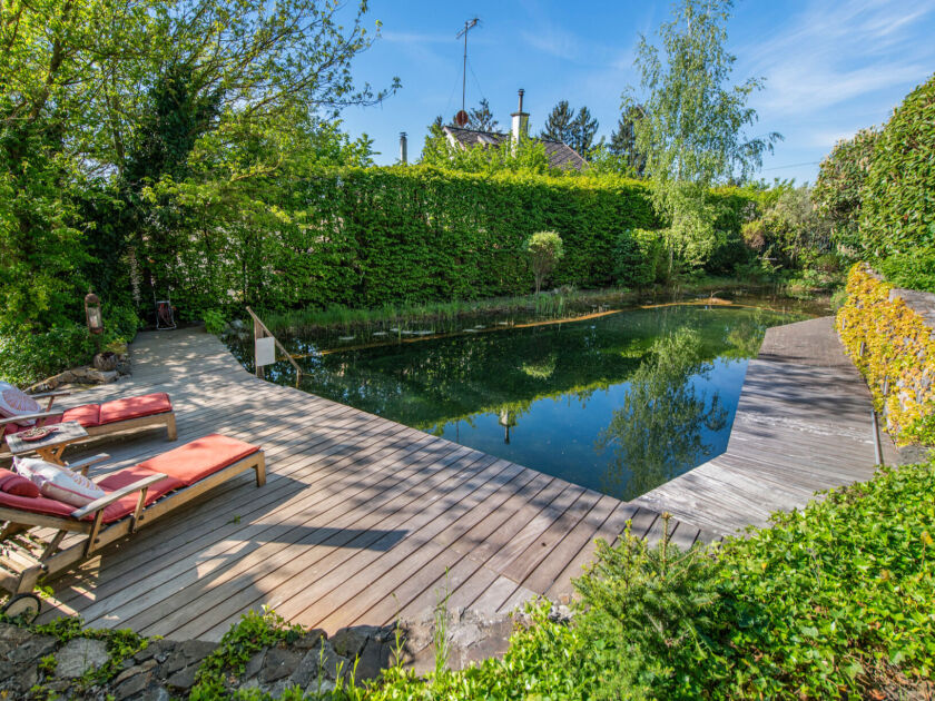 Natur-Pool | Sonnendeck