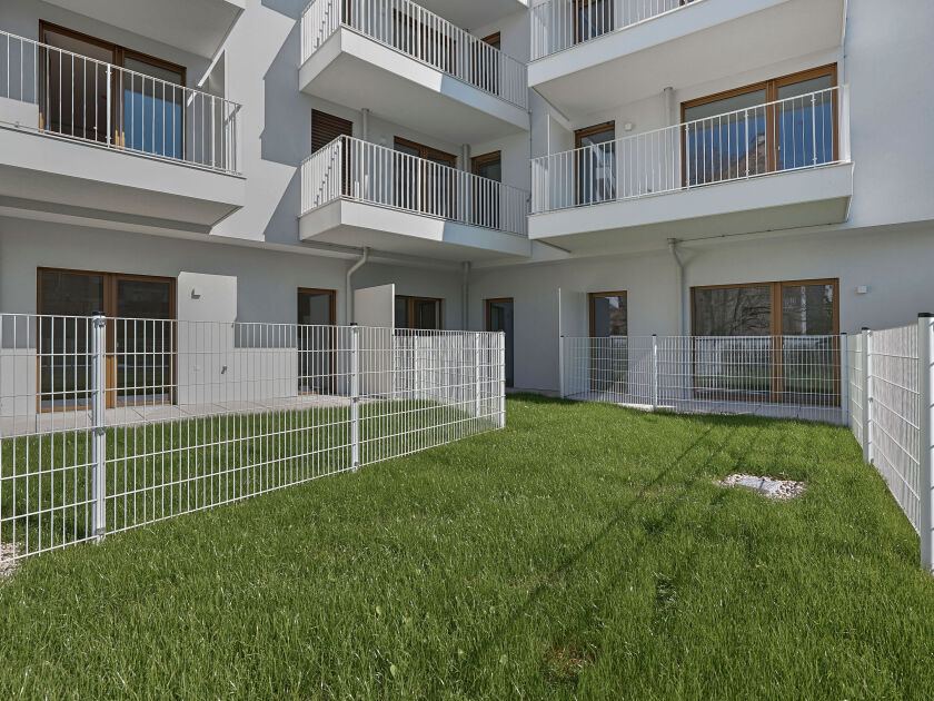 Schumanngasse | Garten