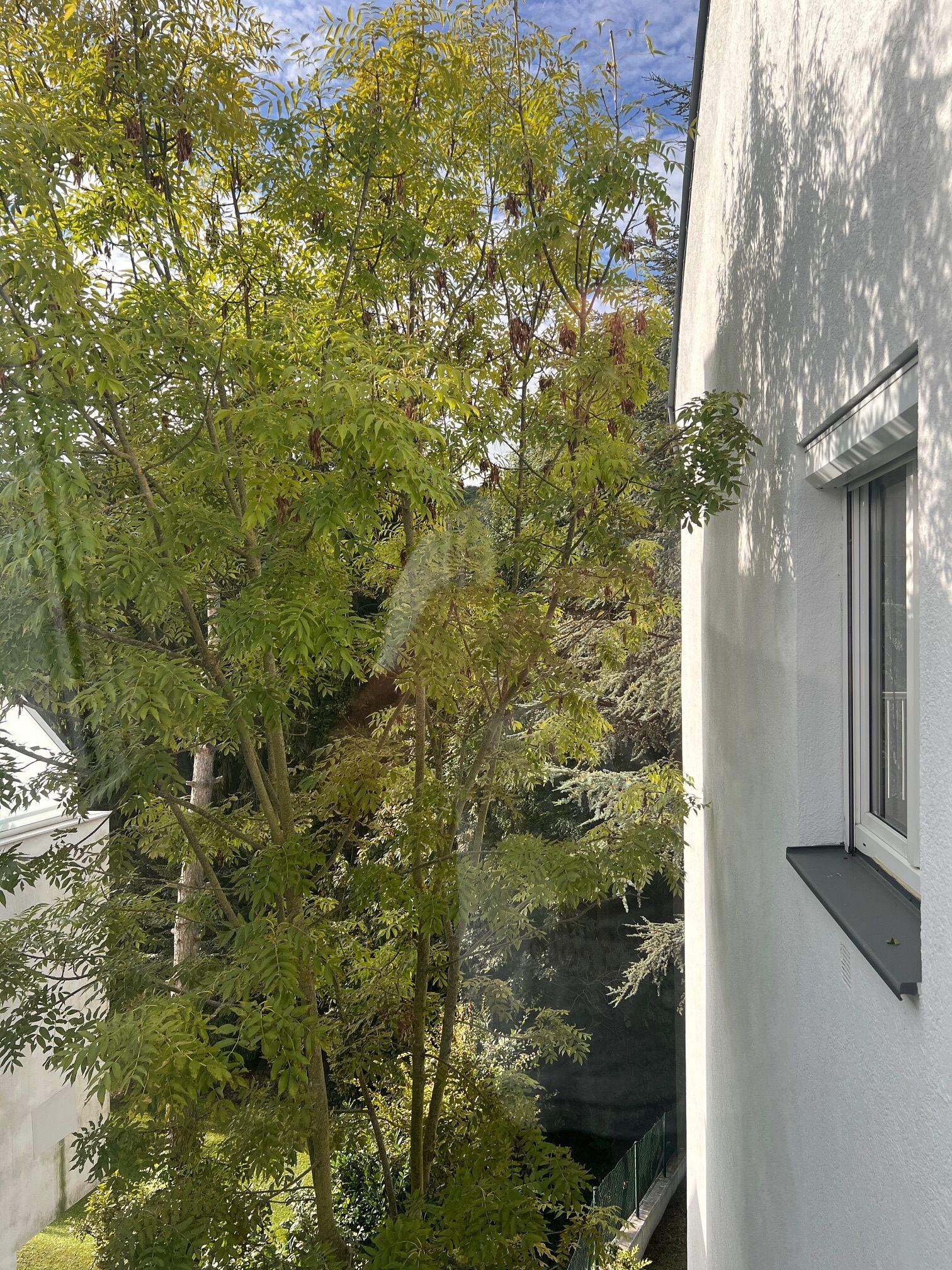 Ausblick aus Küchenfenster