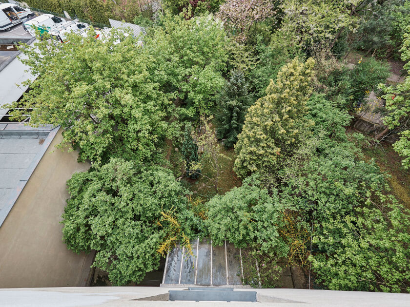 Ausblick Garten