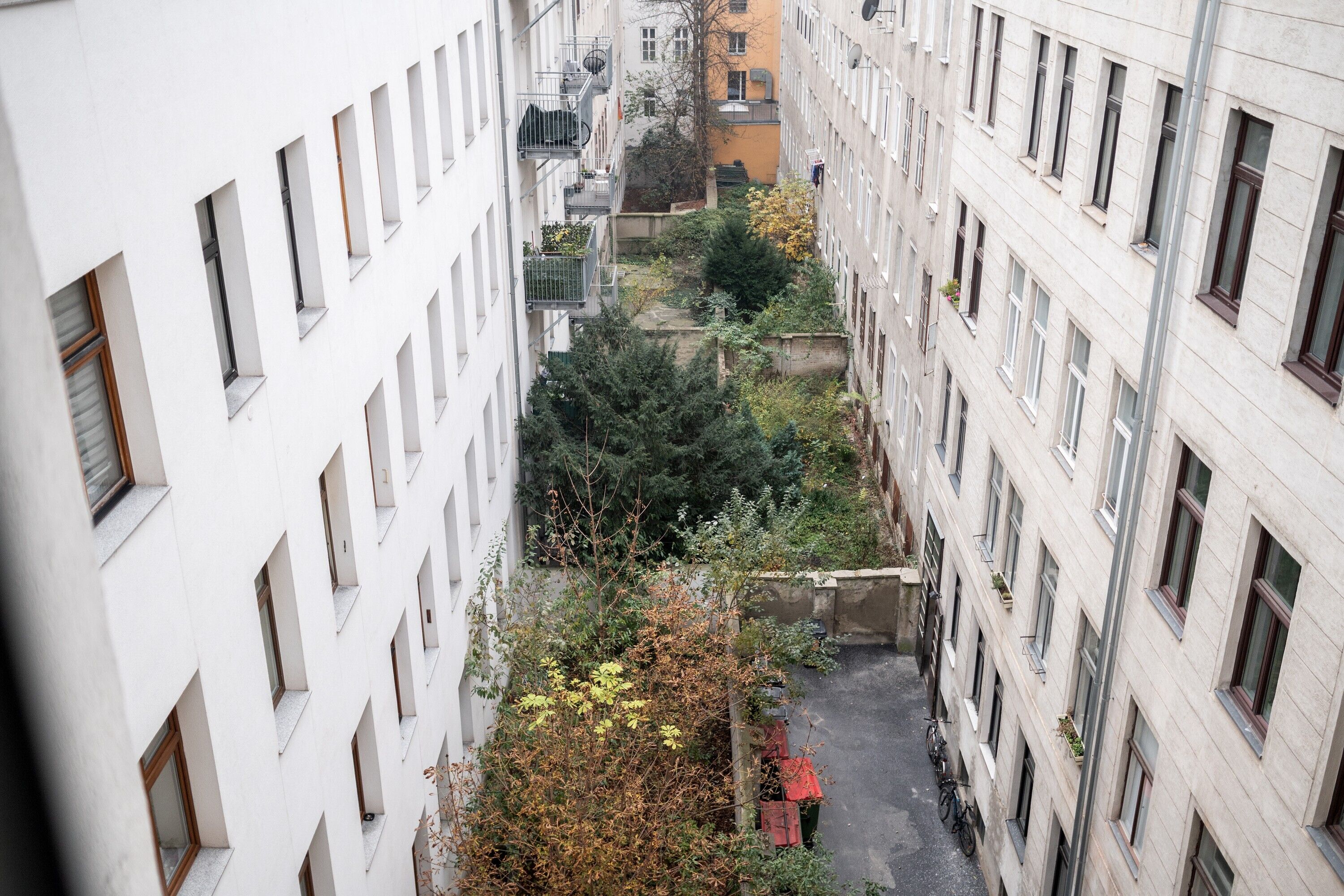 WINEGG - Wolfgang-Schmälzl-Gasse 4 - 10.11.2024 - 0818 - 3000x2000