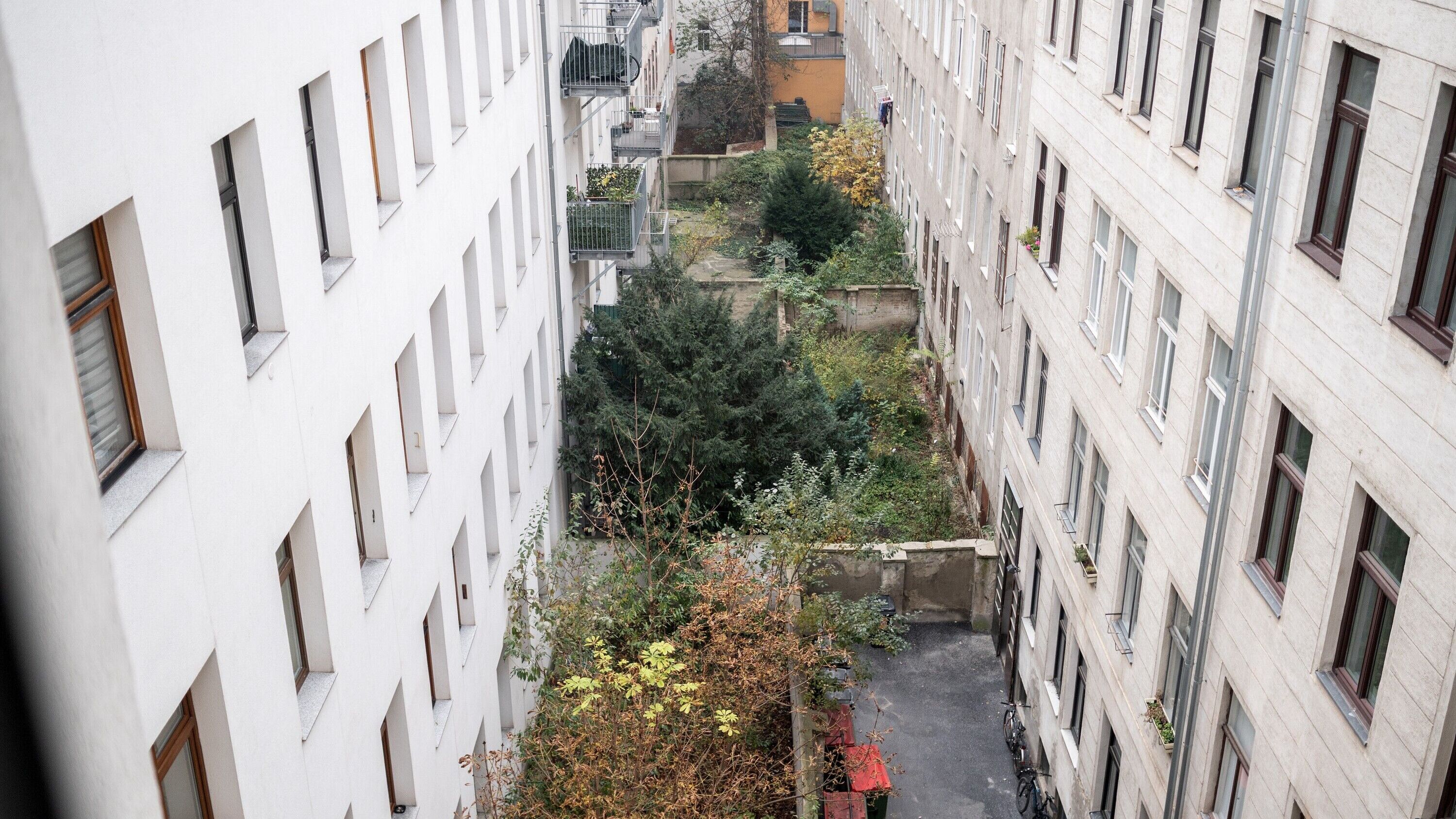 WINEGG - Wolfgang-Schmälzl-Gasse 4 - 10.11.2024 - 0818 - 3000x2000