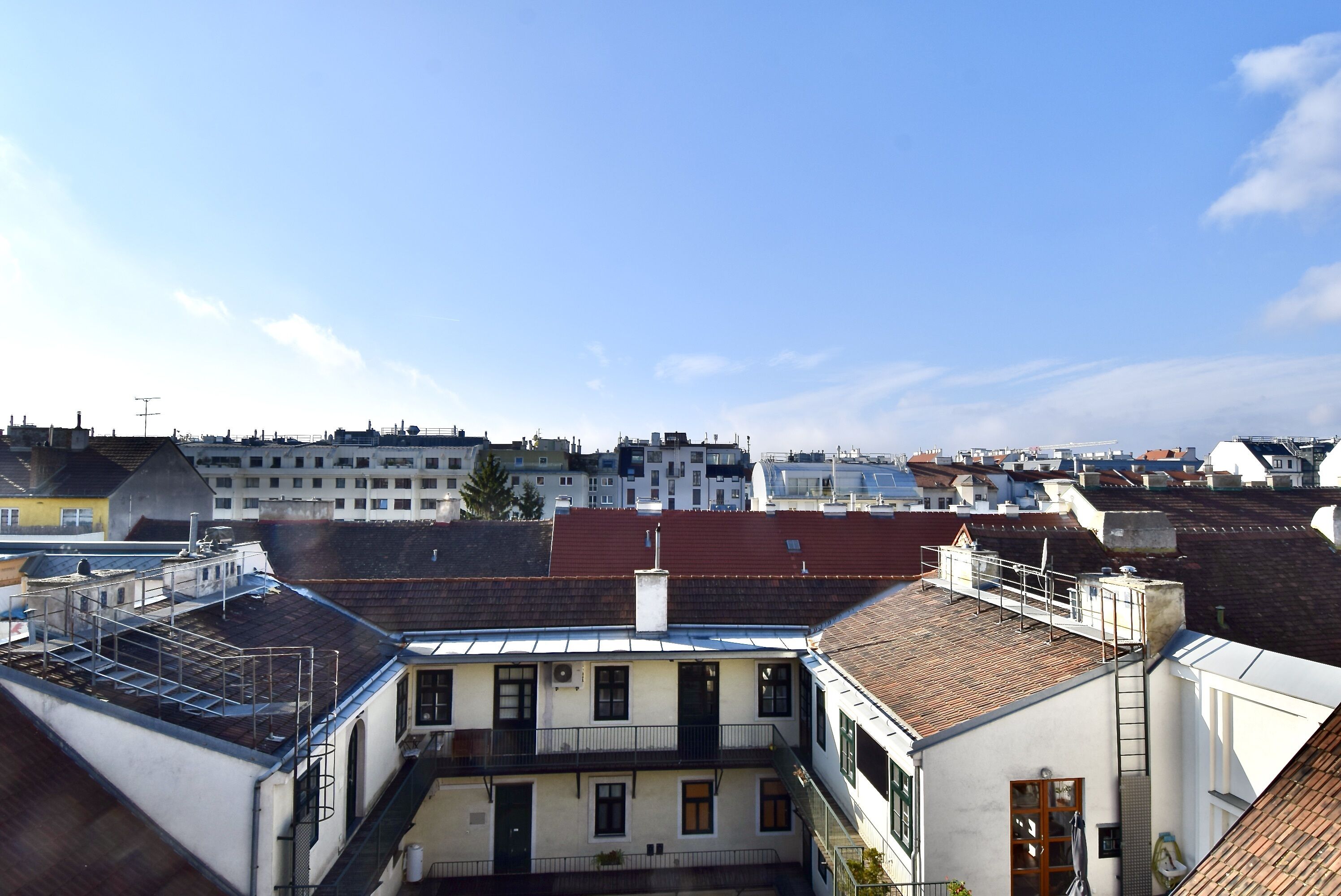 DSC 0901