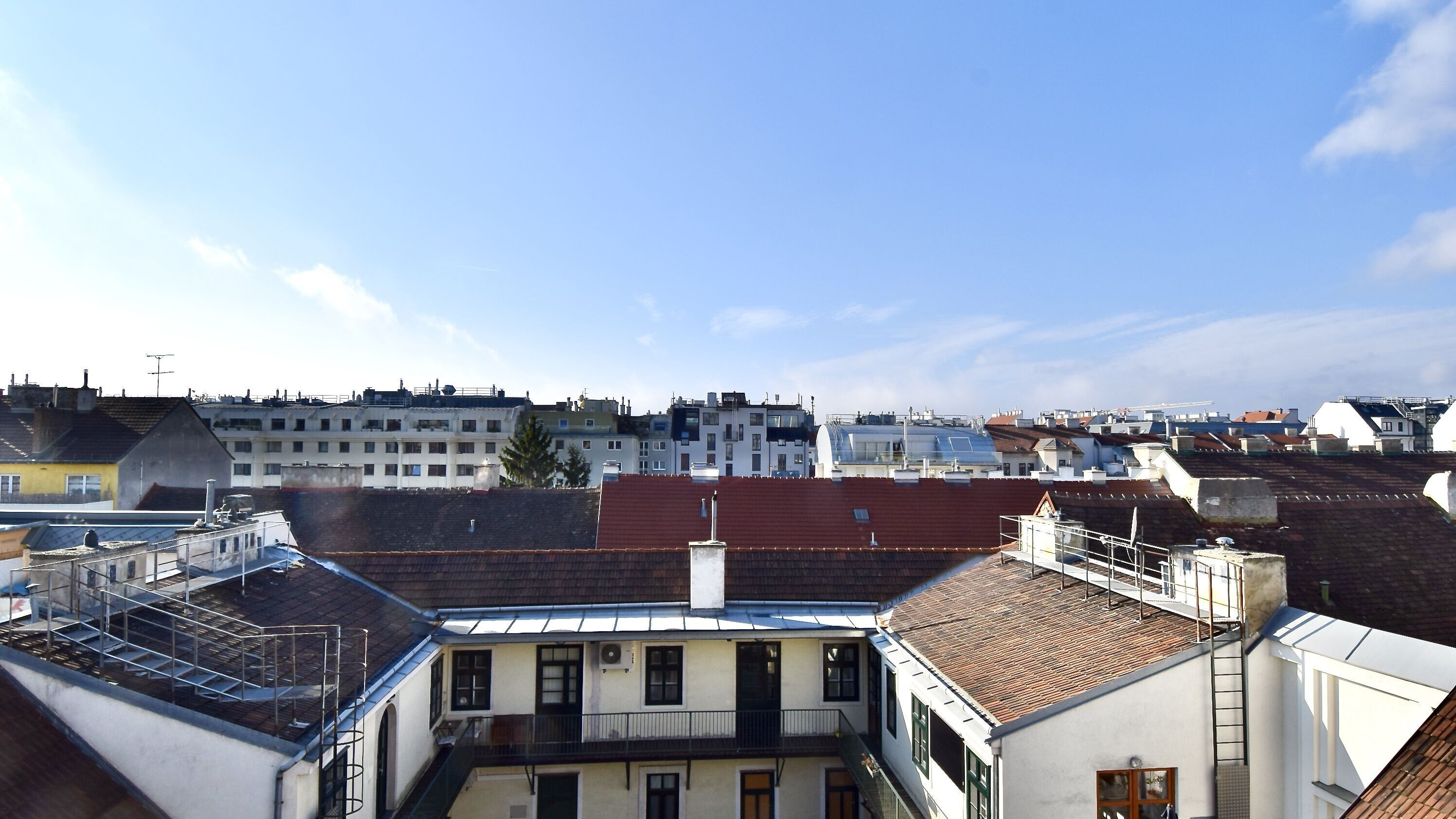 DSC 0901