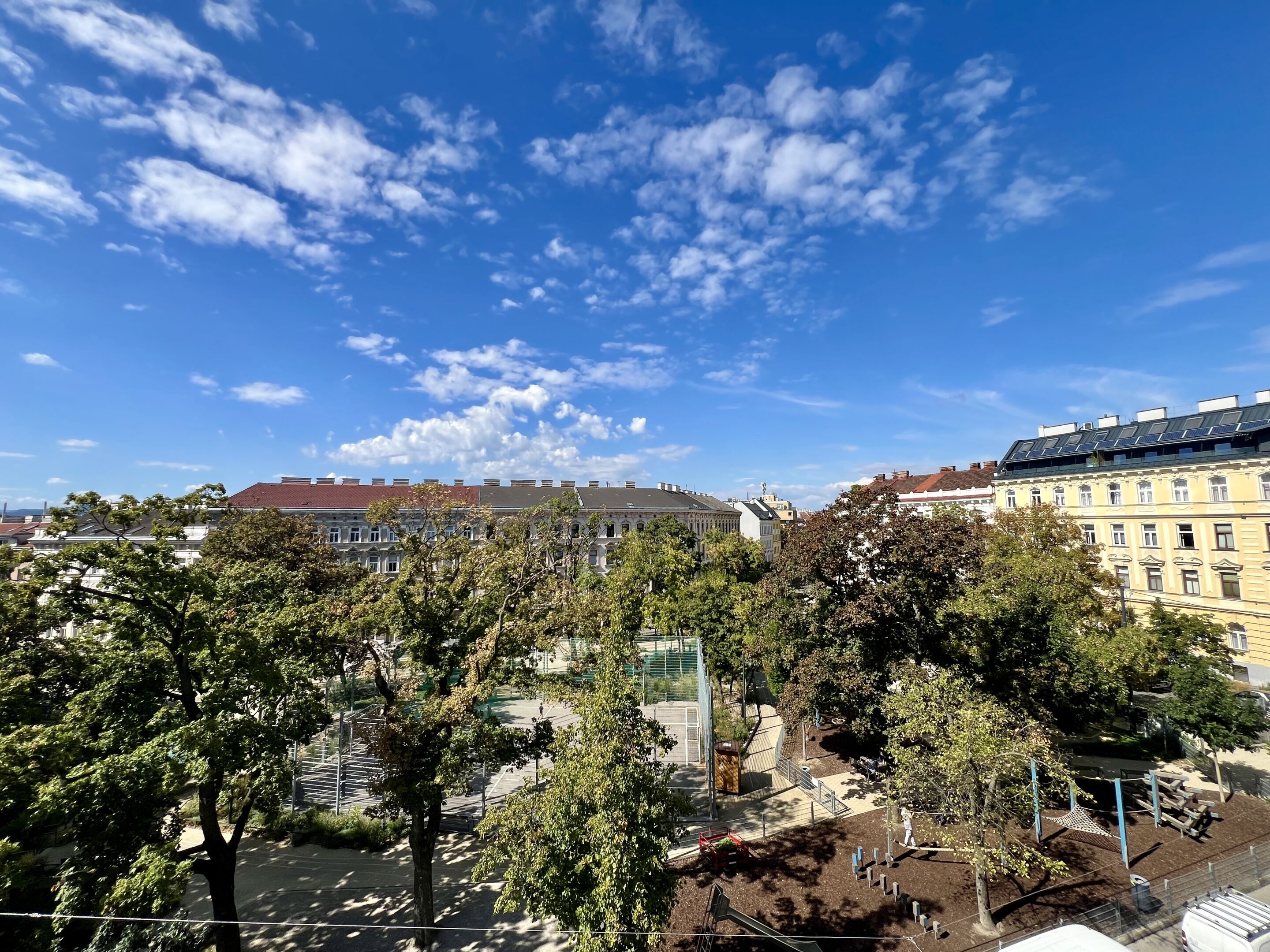IMG 0508