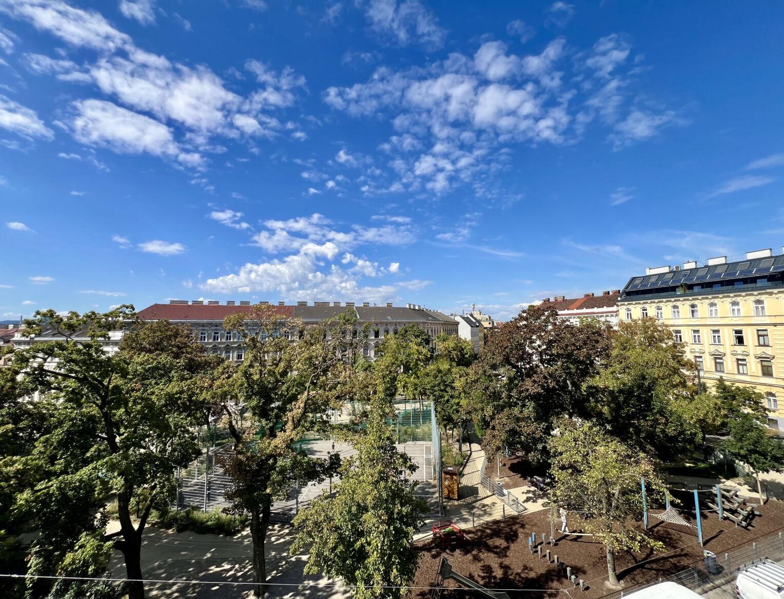 IMG 0508