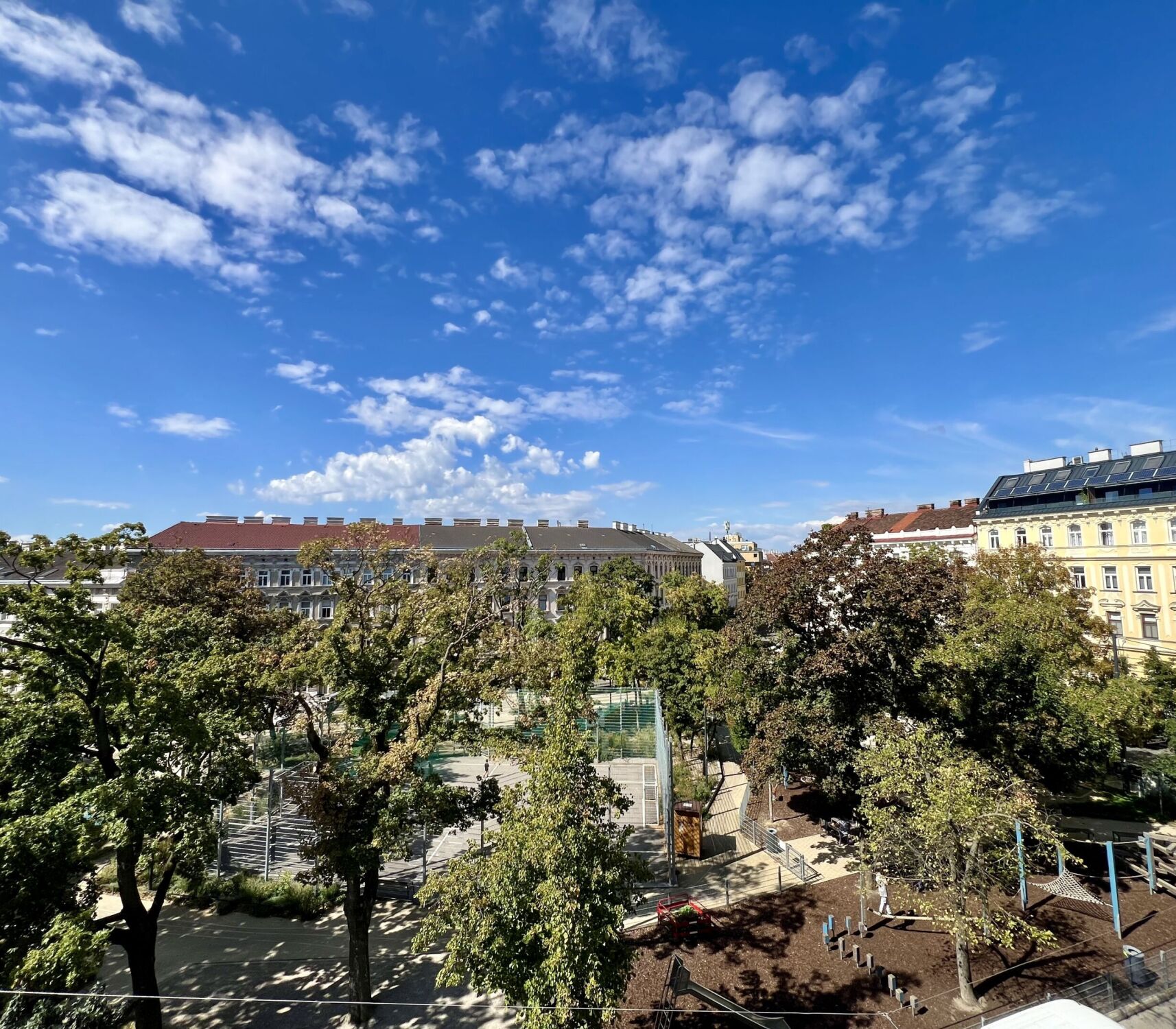 IMG 0508