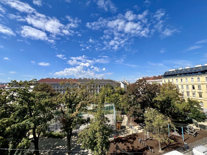 IMG 0508