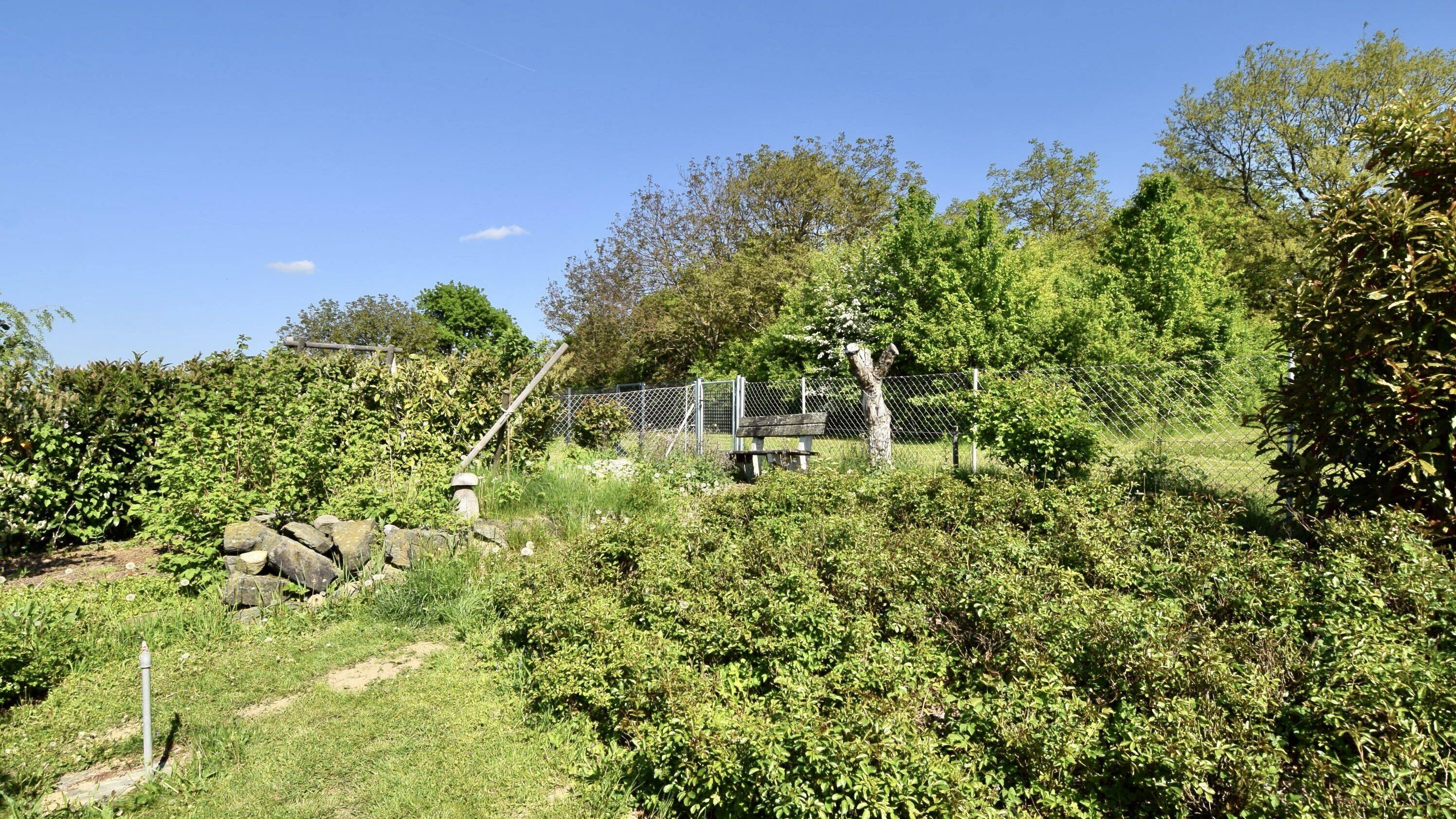 DSC 0397