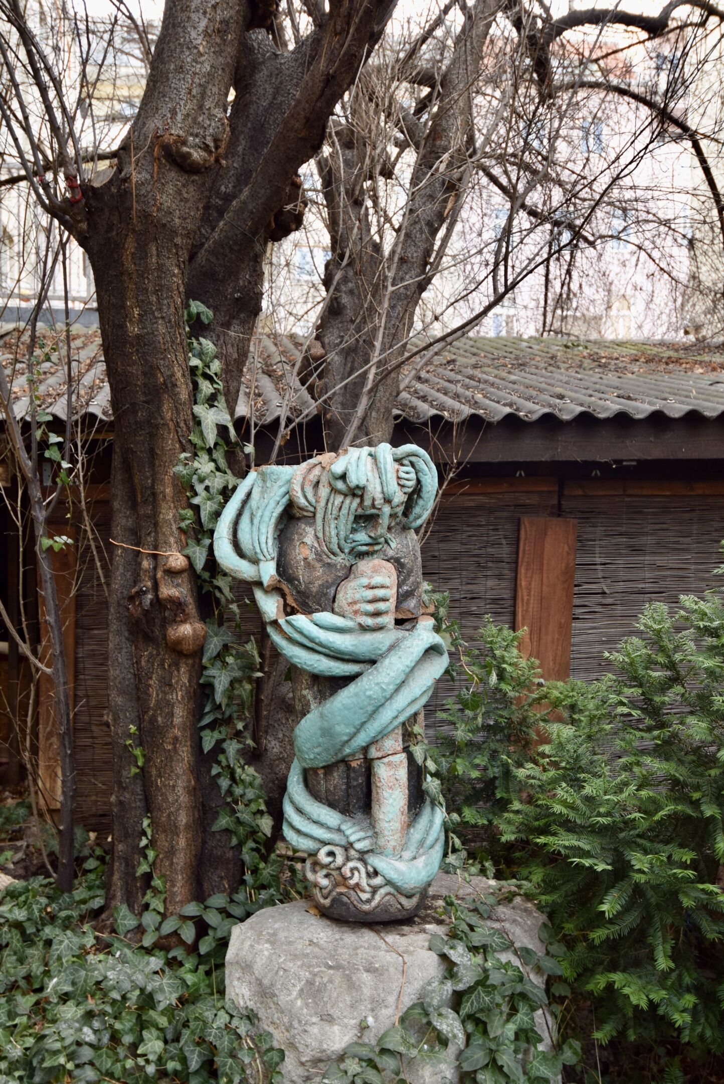 DSC 0137