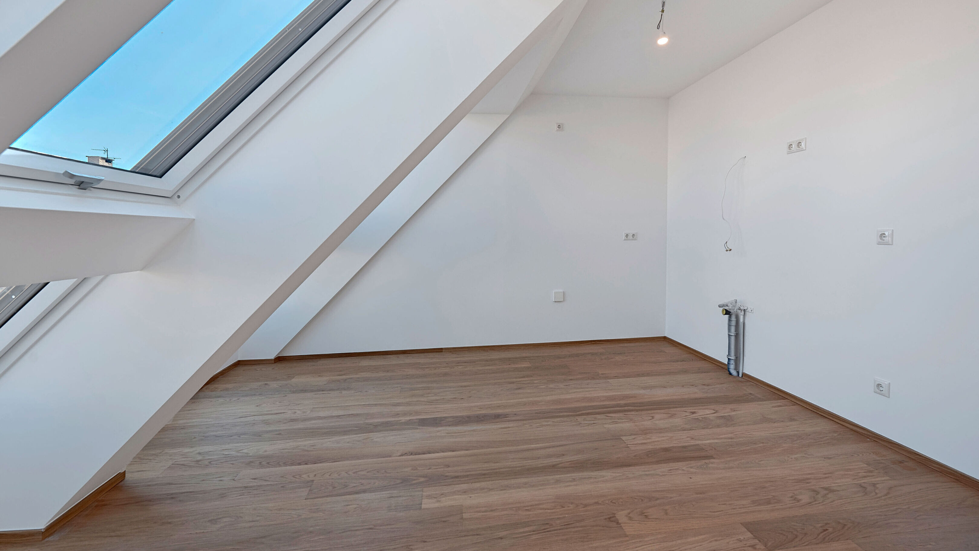 Schumanngasse | Wohnraum