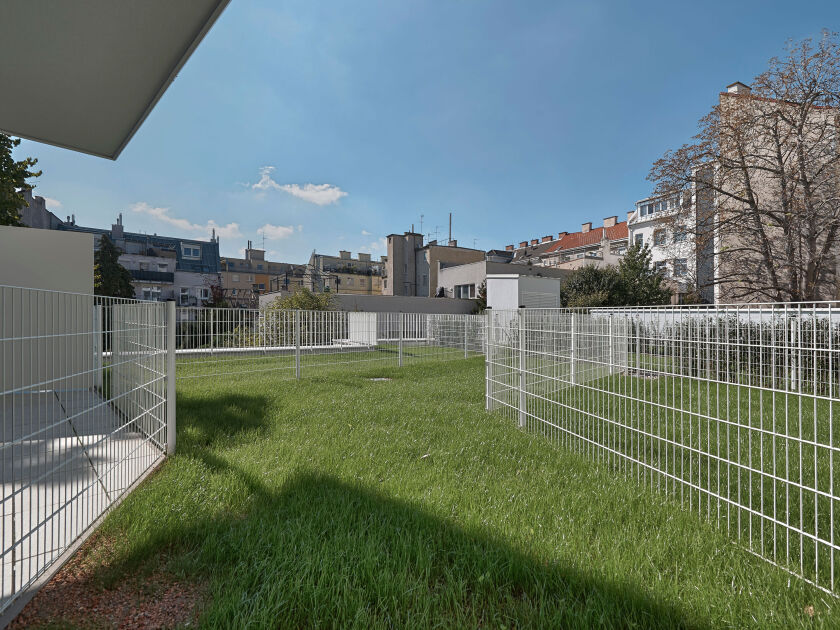 Schumanngasse | Garten