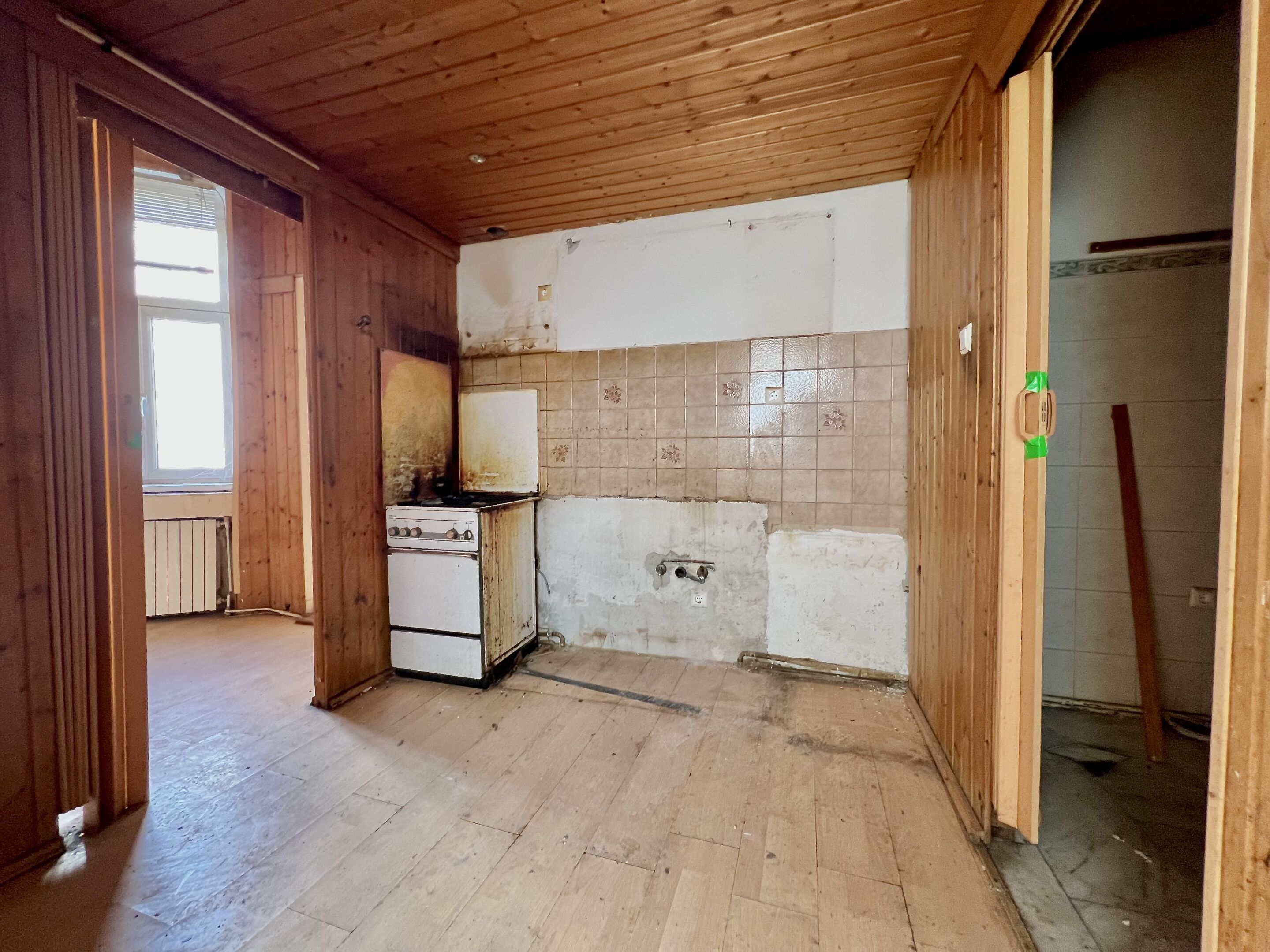 IMG 0537
