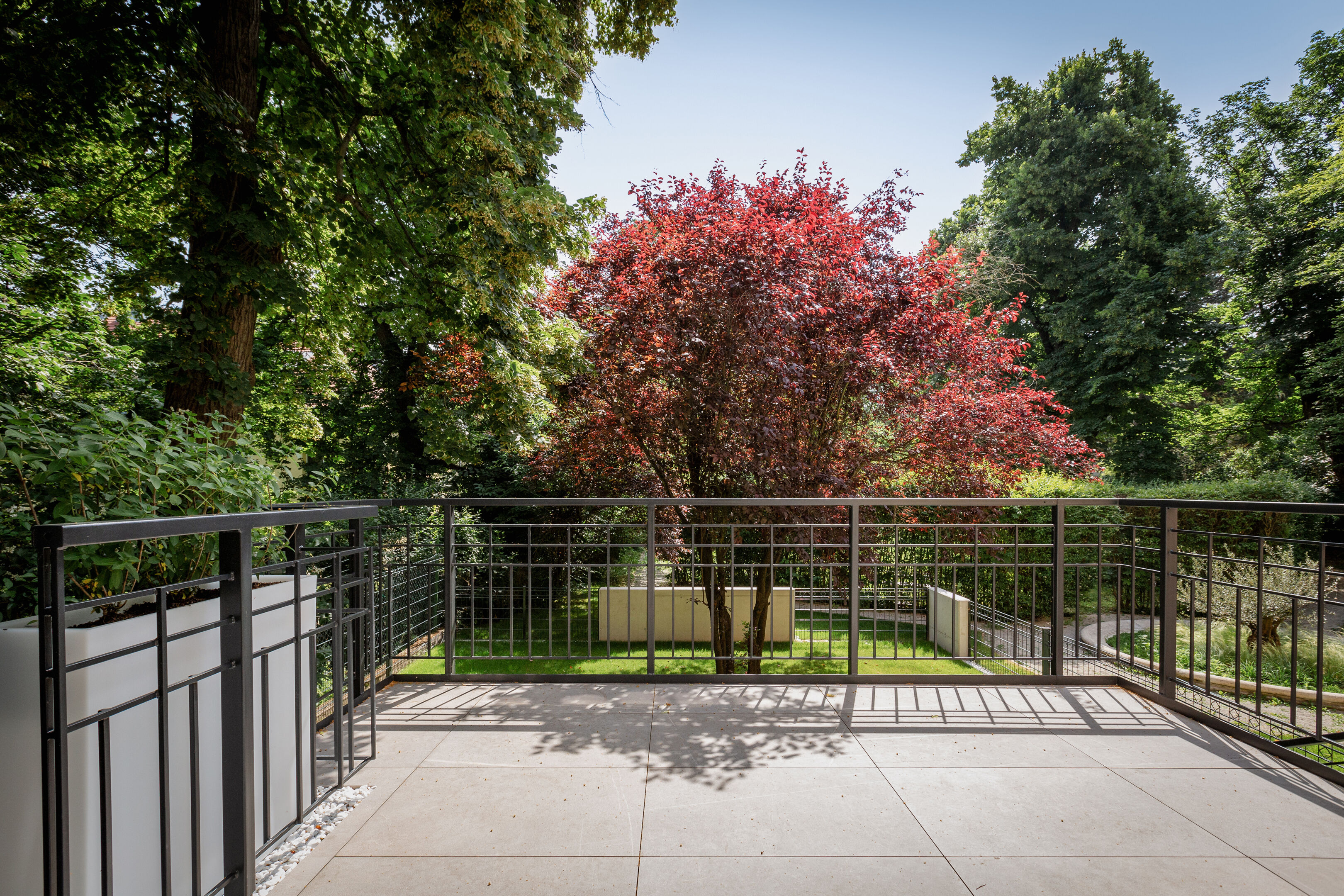 3SI Winegg Wattmanngasse25 0I1A8524 Edit srgb s