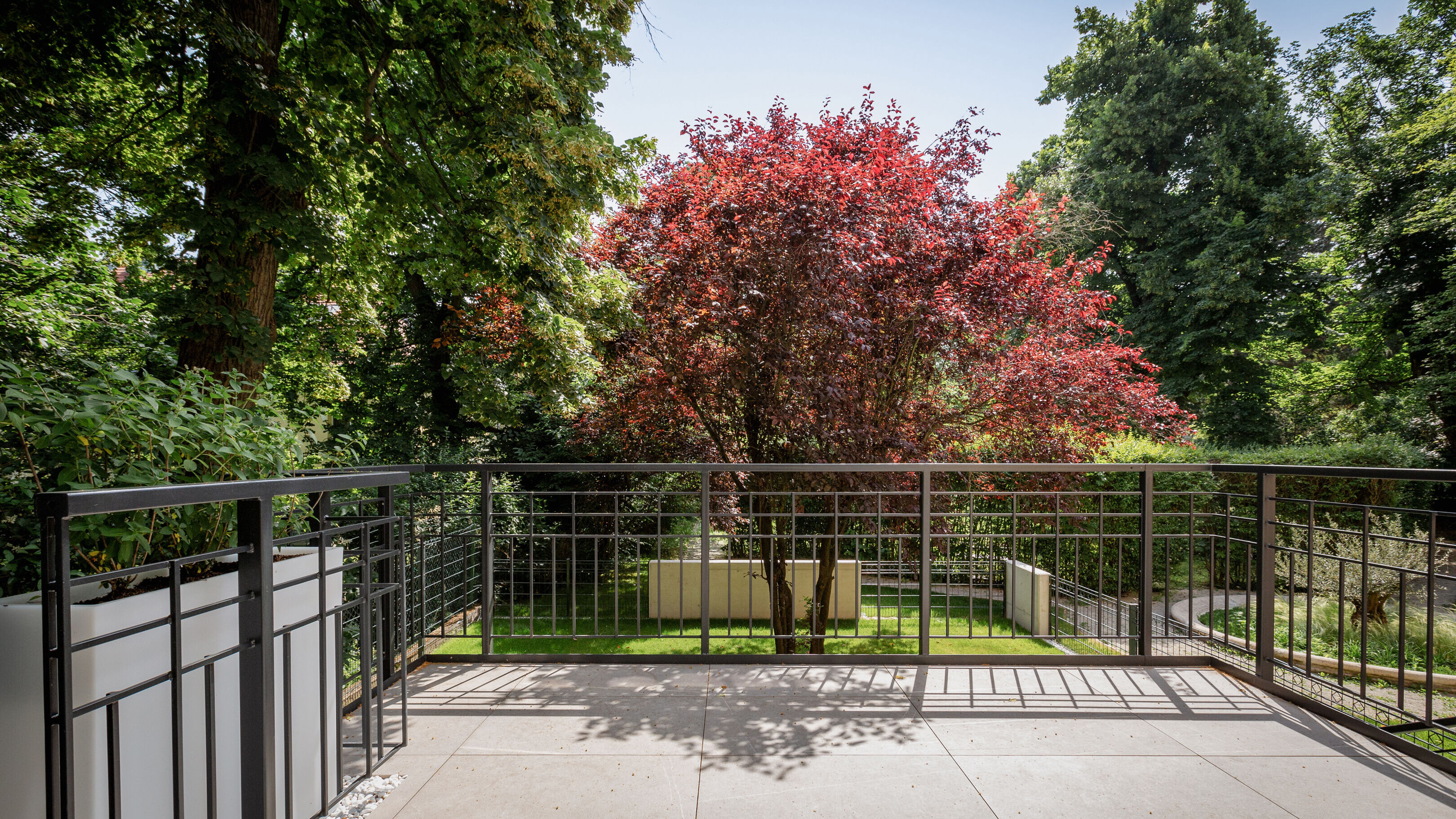 3SI Winegg Wattmanngasse25 0I1A8524 Edit srgb s