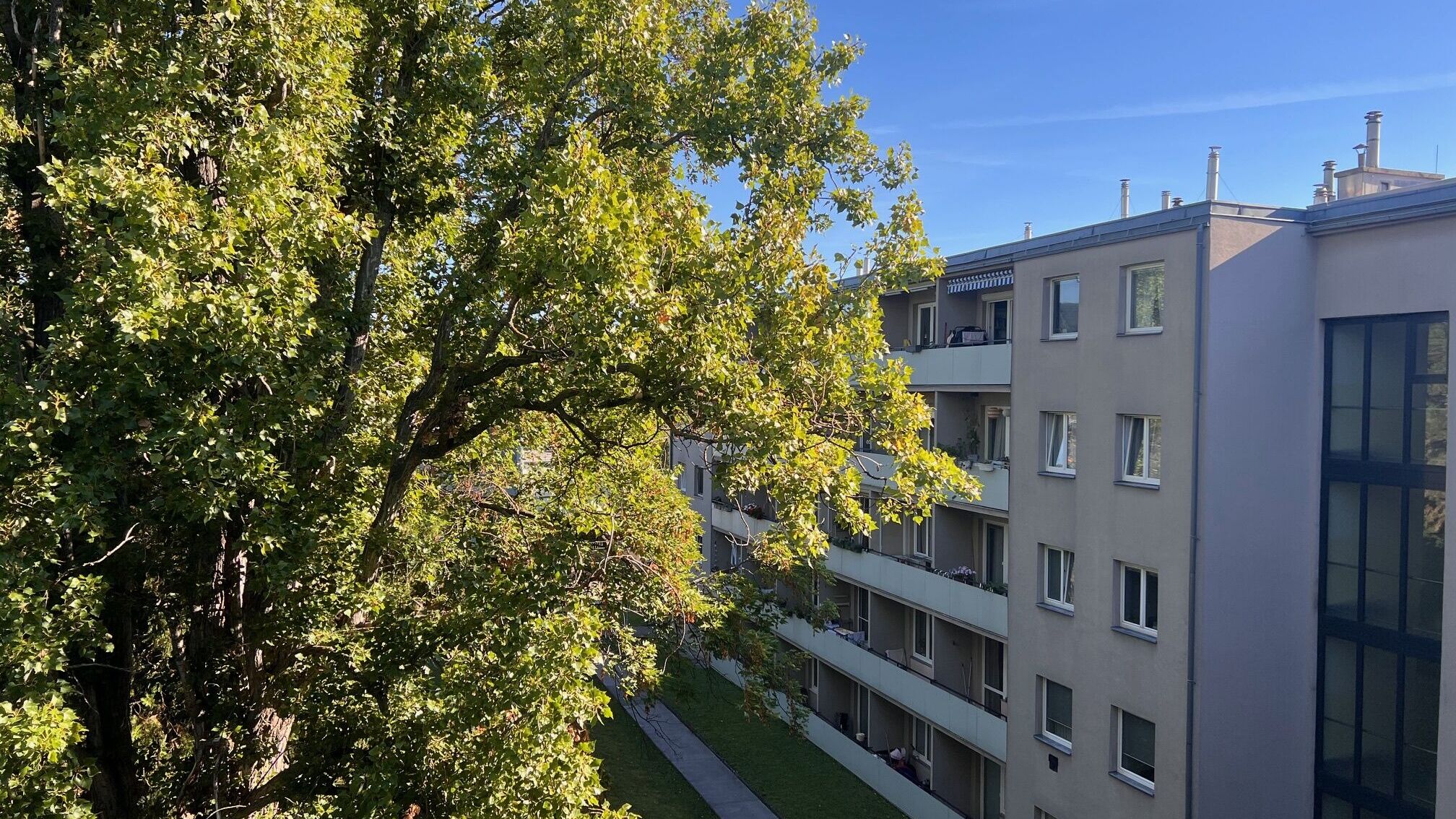 Blick Zugang