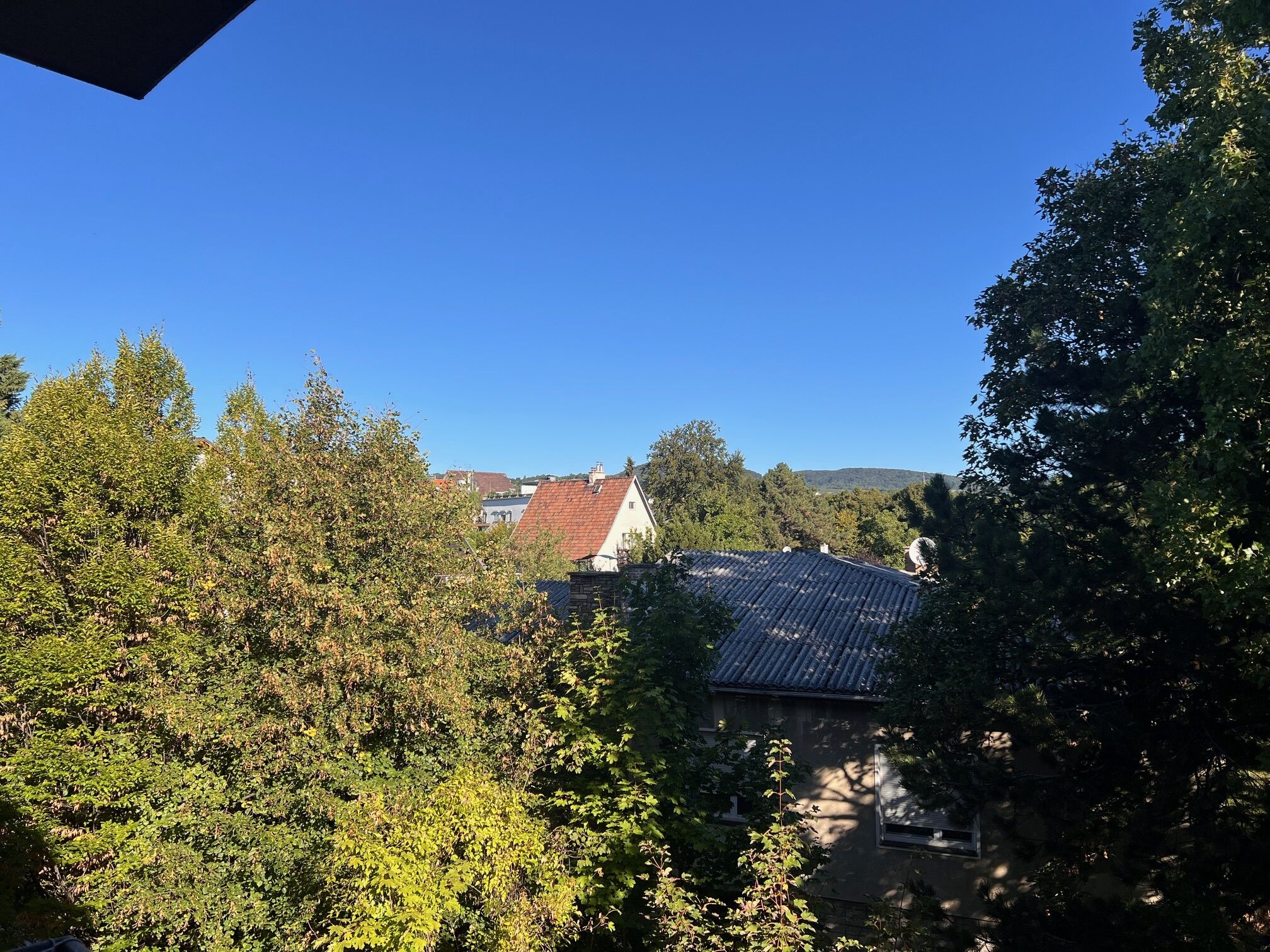 Ausblick ins Grüne