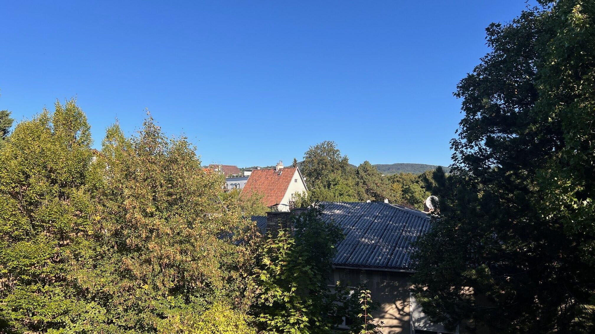 Ausblick ins Grüne