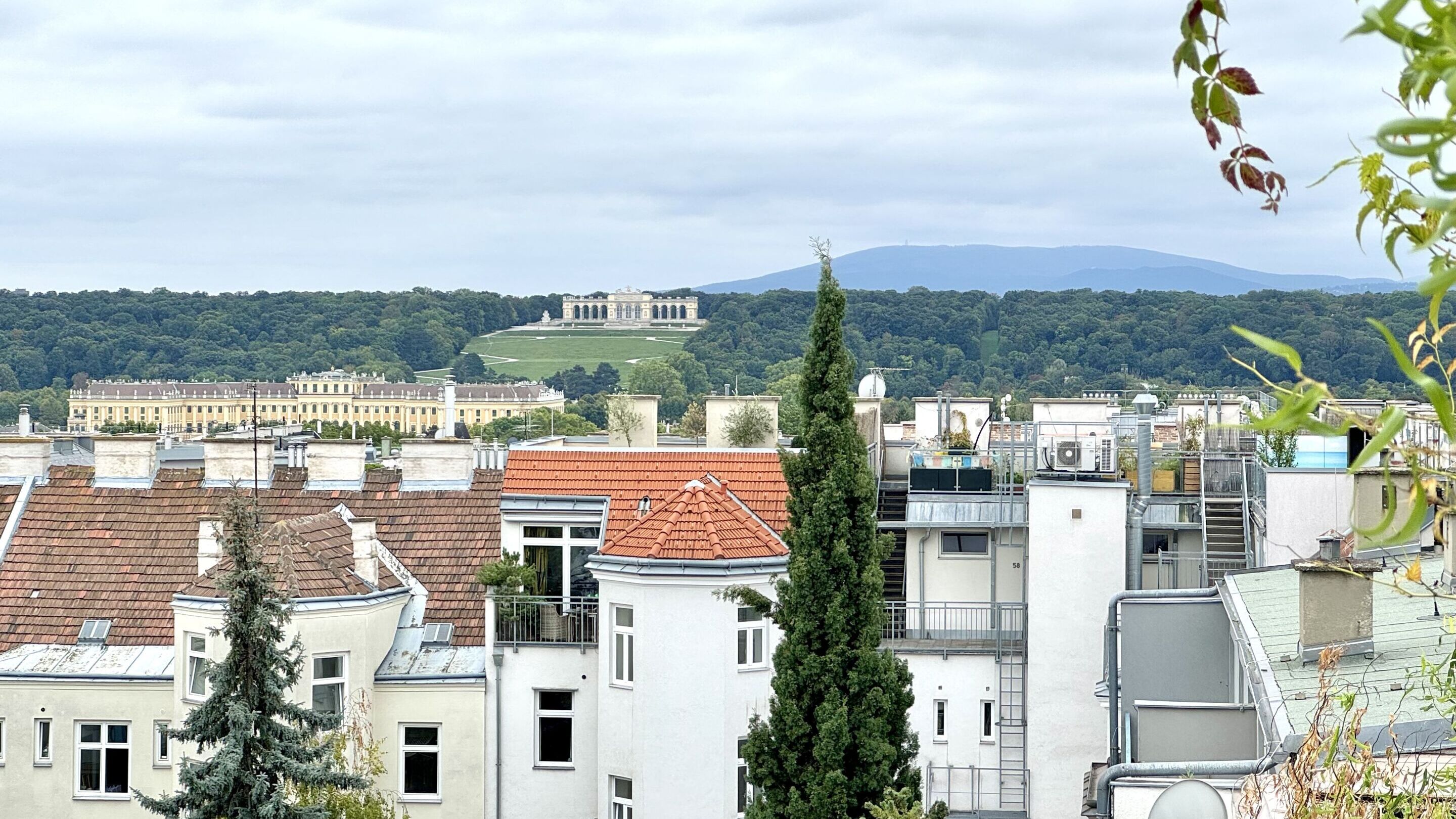 Blick auf Gloriette