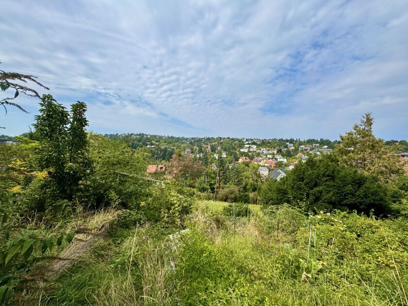 Fernblick