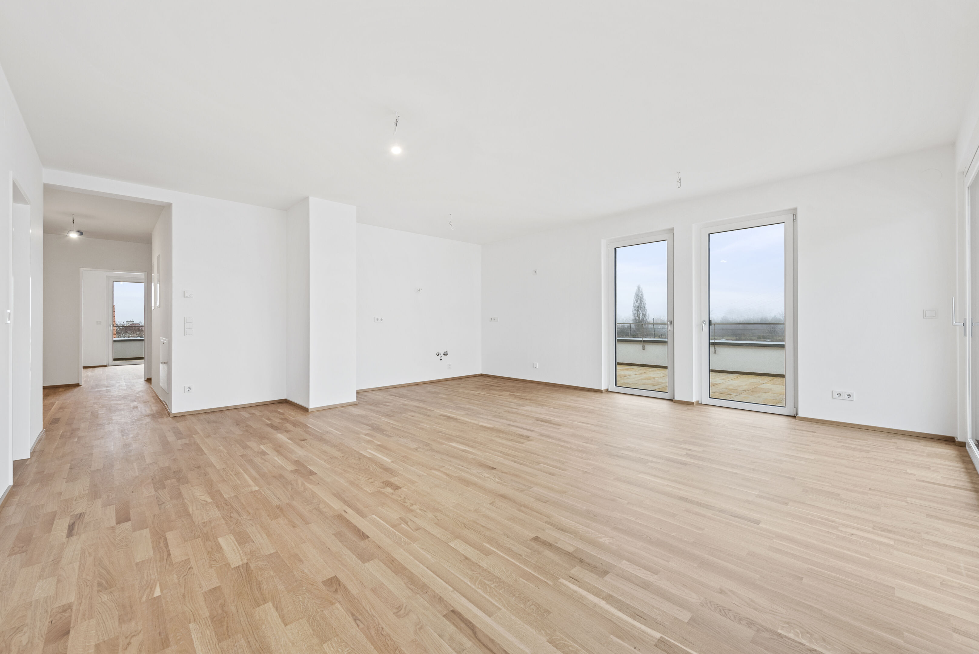 2025-12-17 S01624-D11-387