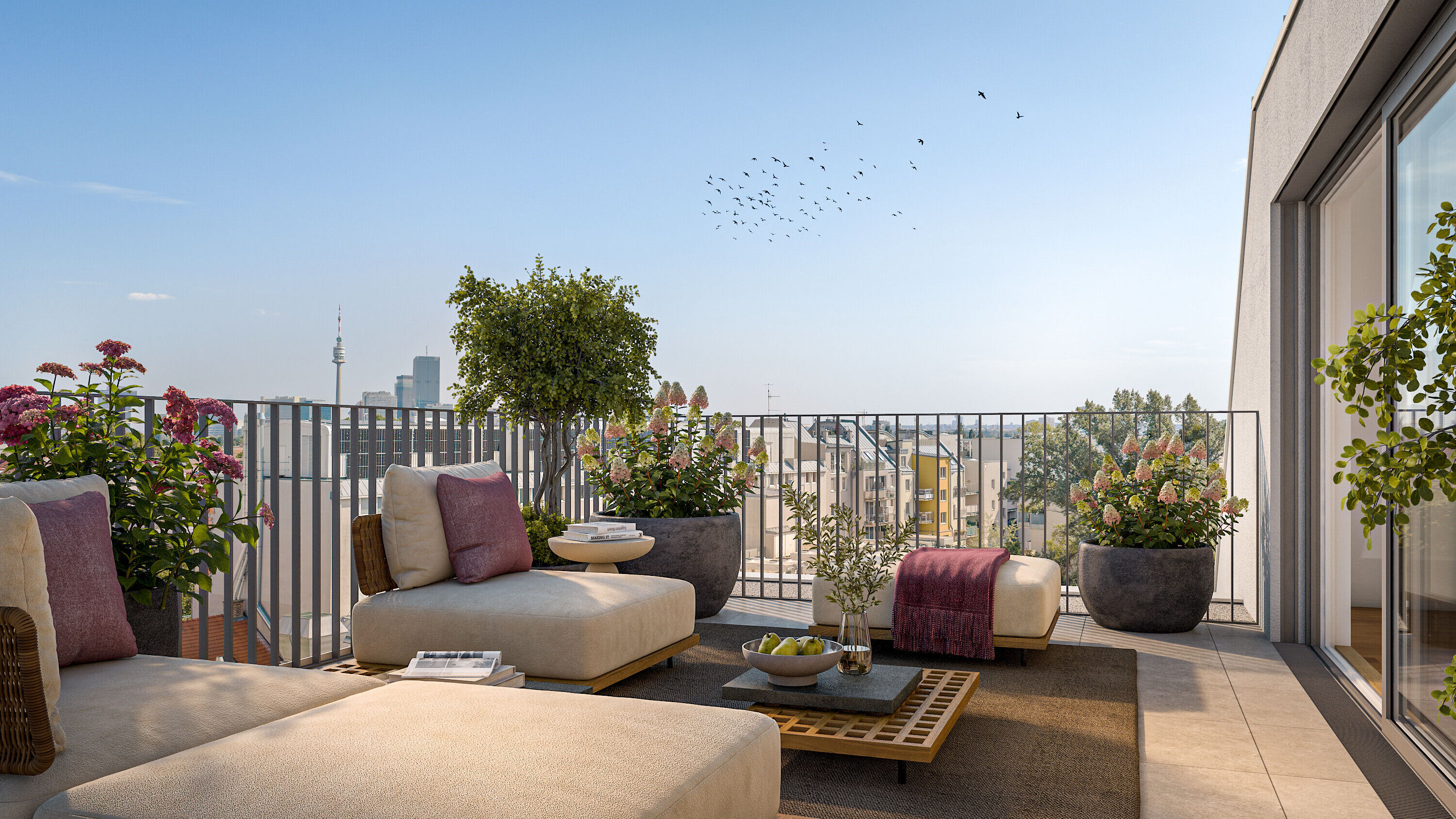 Terrasse DG