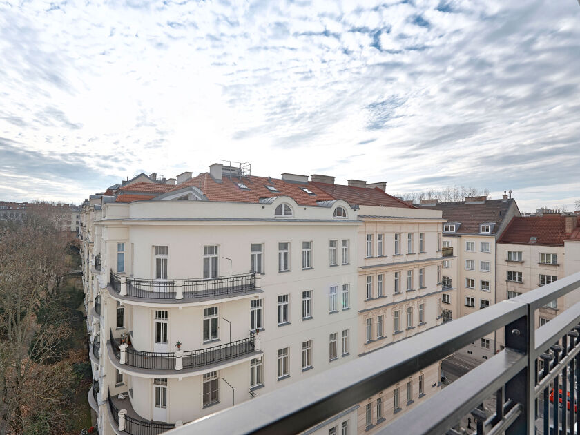 DSC4428-6547