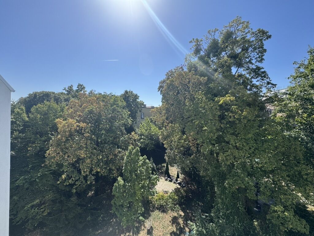 Ausblick ins Grüne