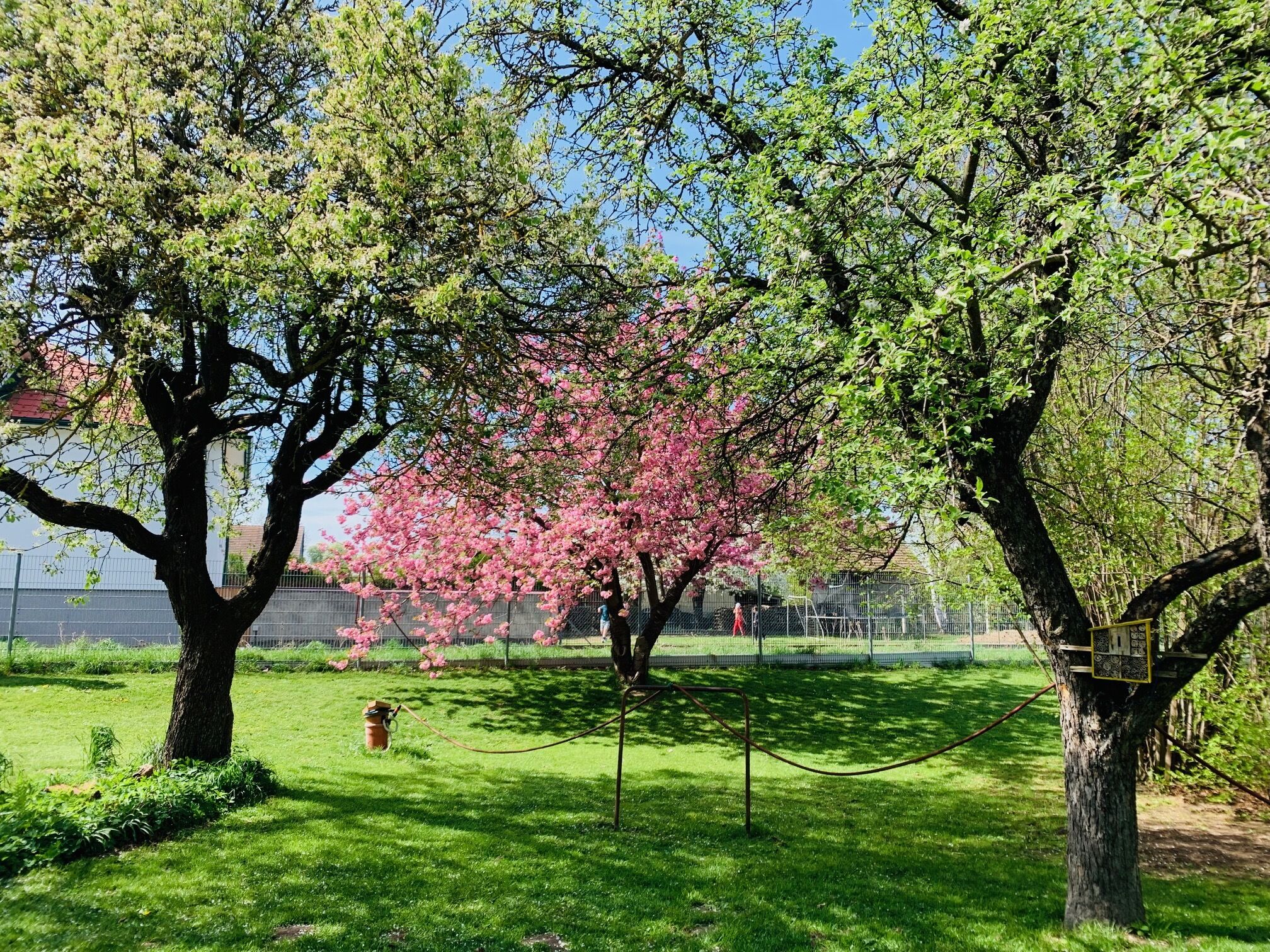 Gartenparadies