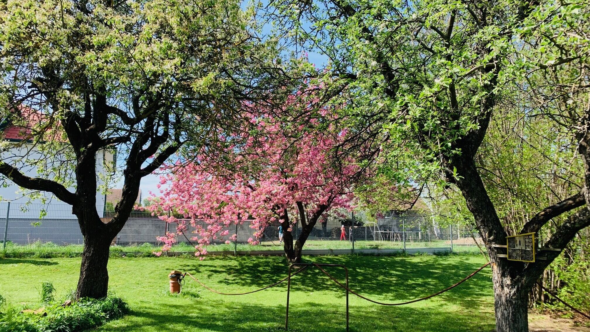Gartenparadies