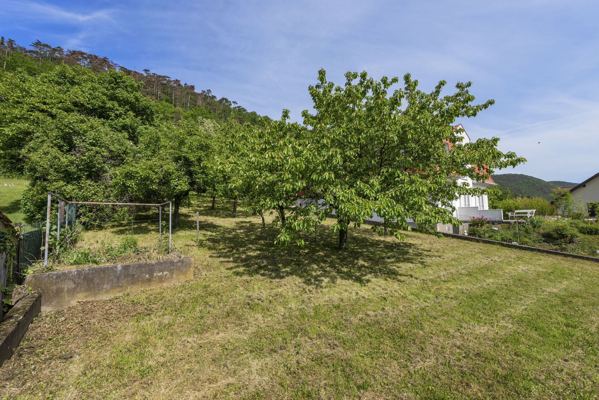 Obstgarten