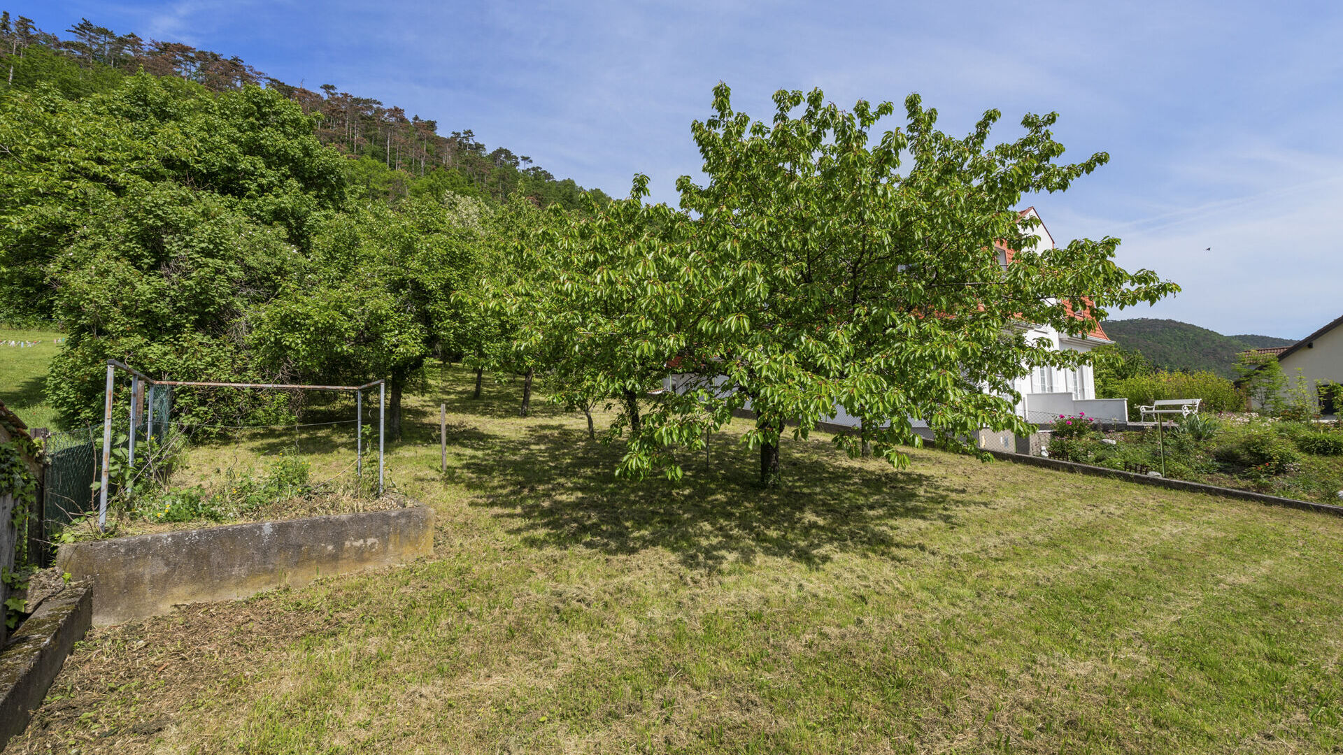Obstgarten