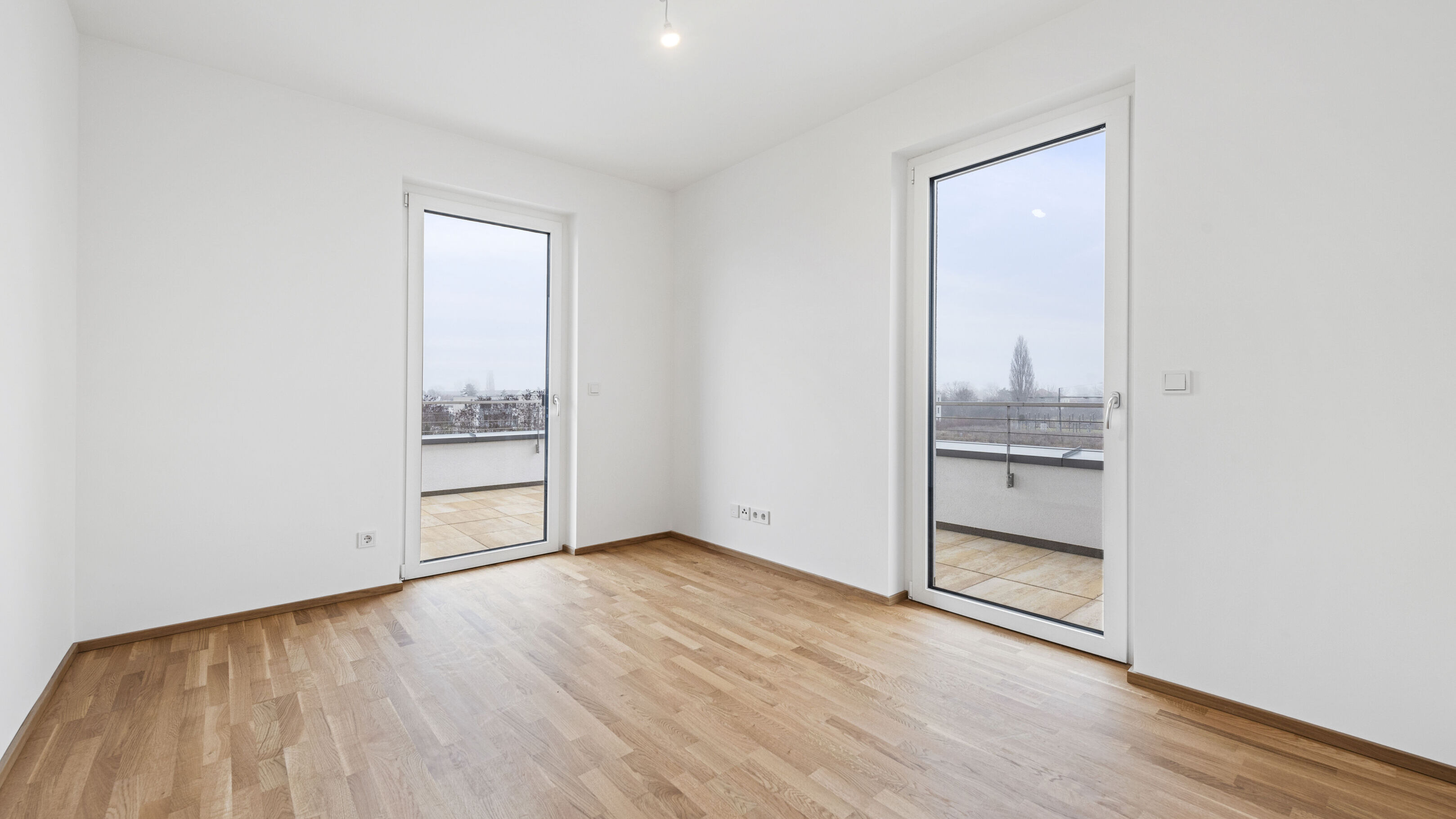 2025-12-17 S01624-D11-397