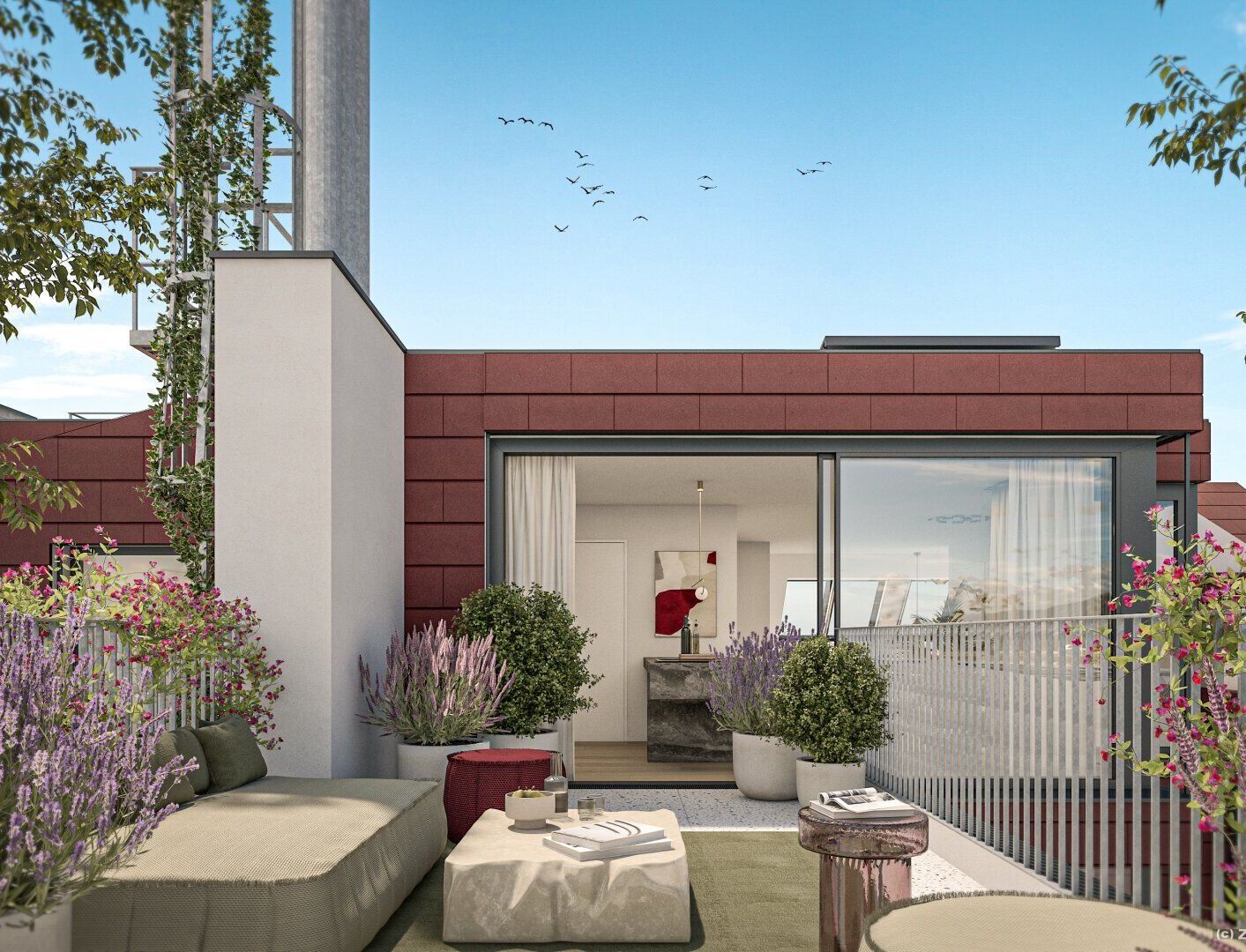 6E5ZrrCmSnaSgzwdQutaZa