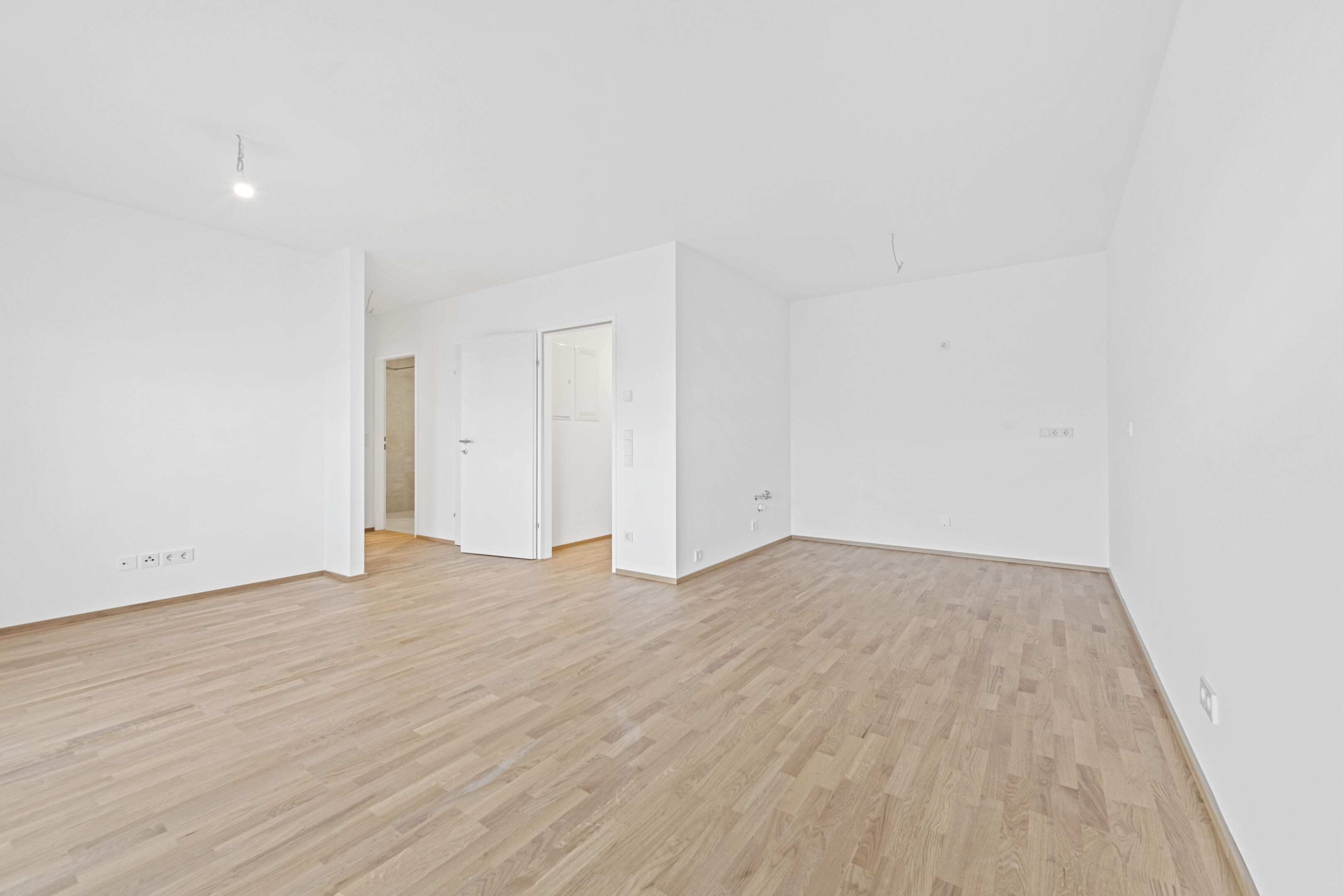 2025-12-17 S01624-D08-365