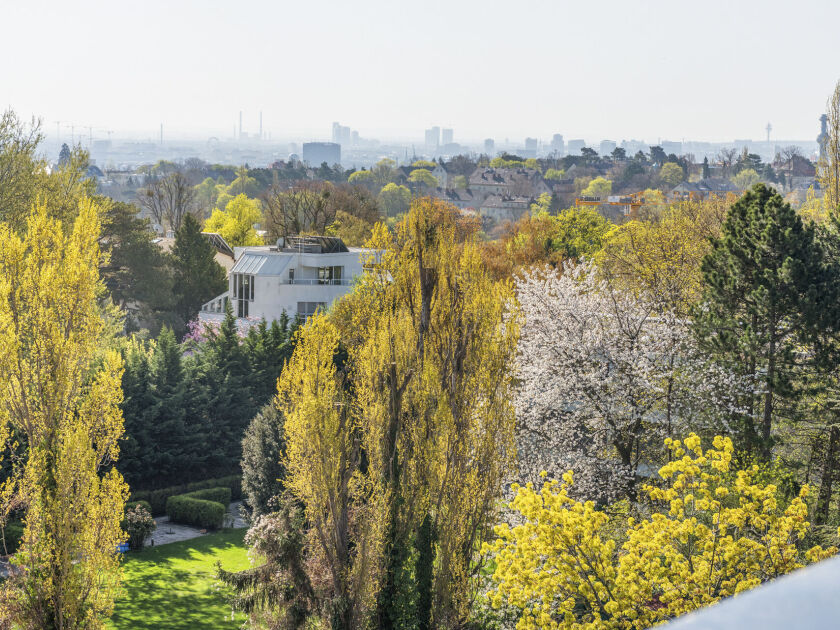 Unterer Schreiberweg 49 | Penthouse